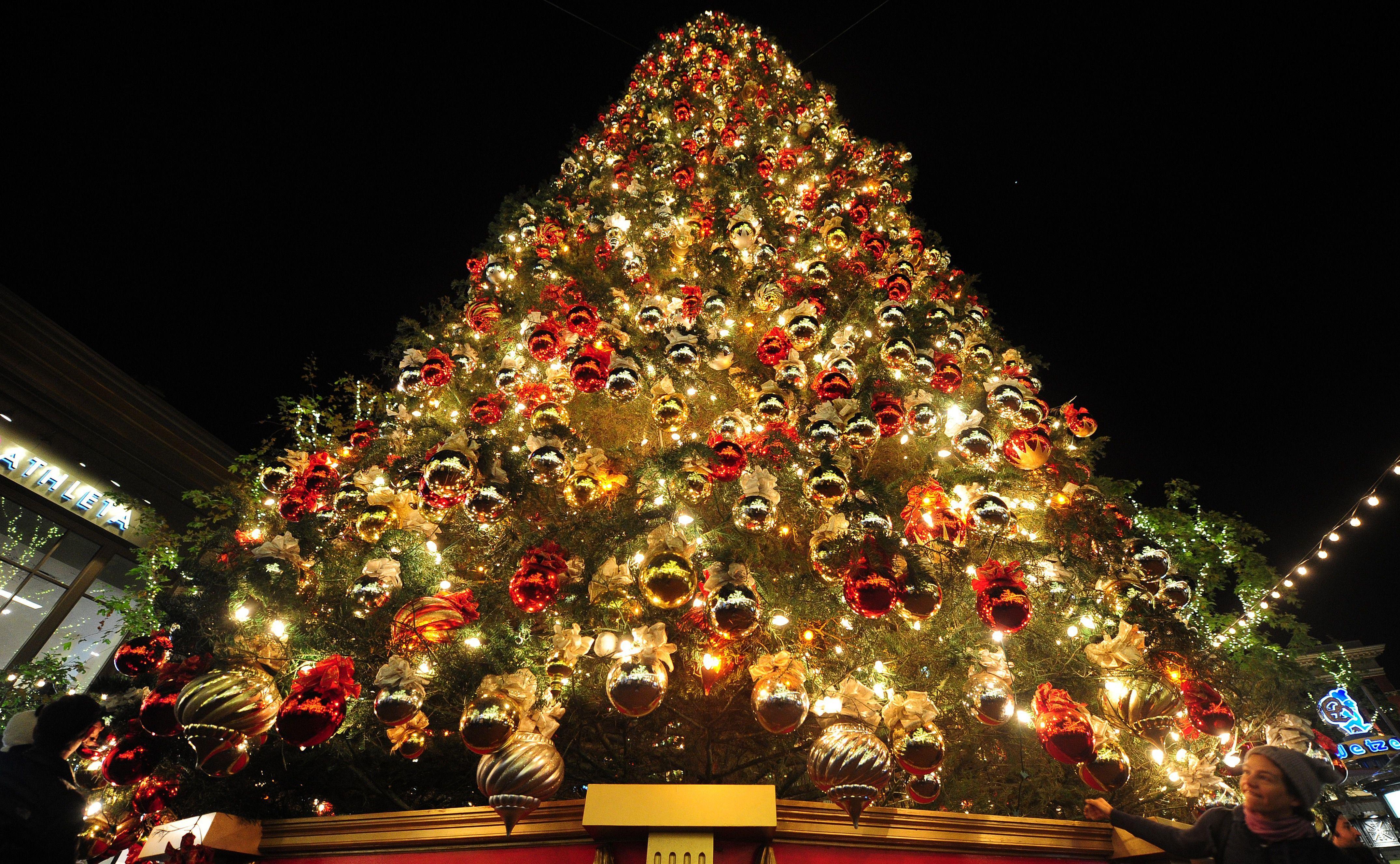 4300x2653 Xmas Tree HD Wallpaper .line.