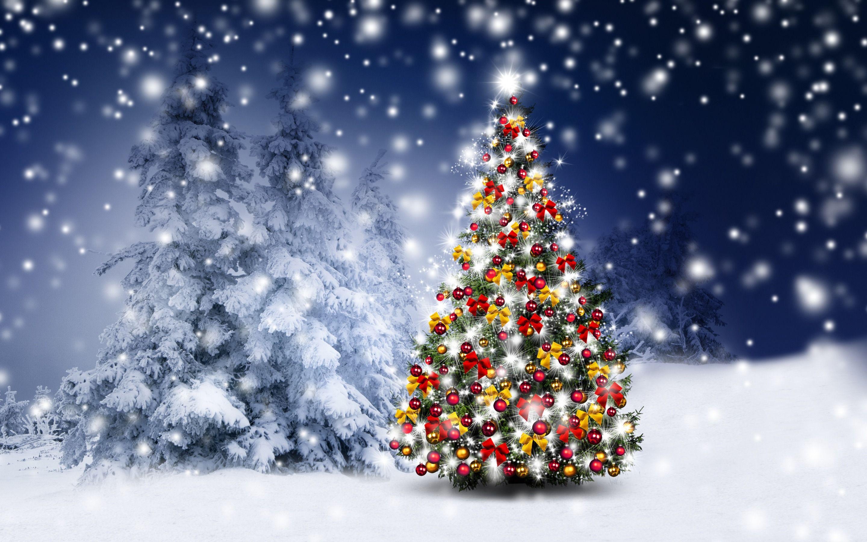 2880x1800 snow, forest, Christmas tree, Xmas .