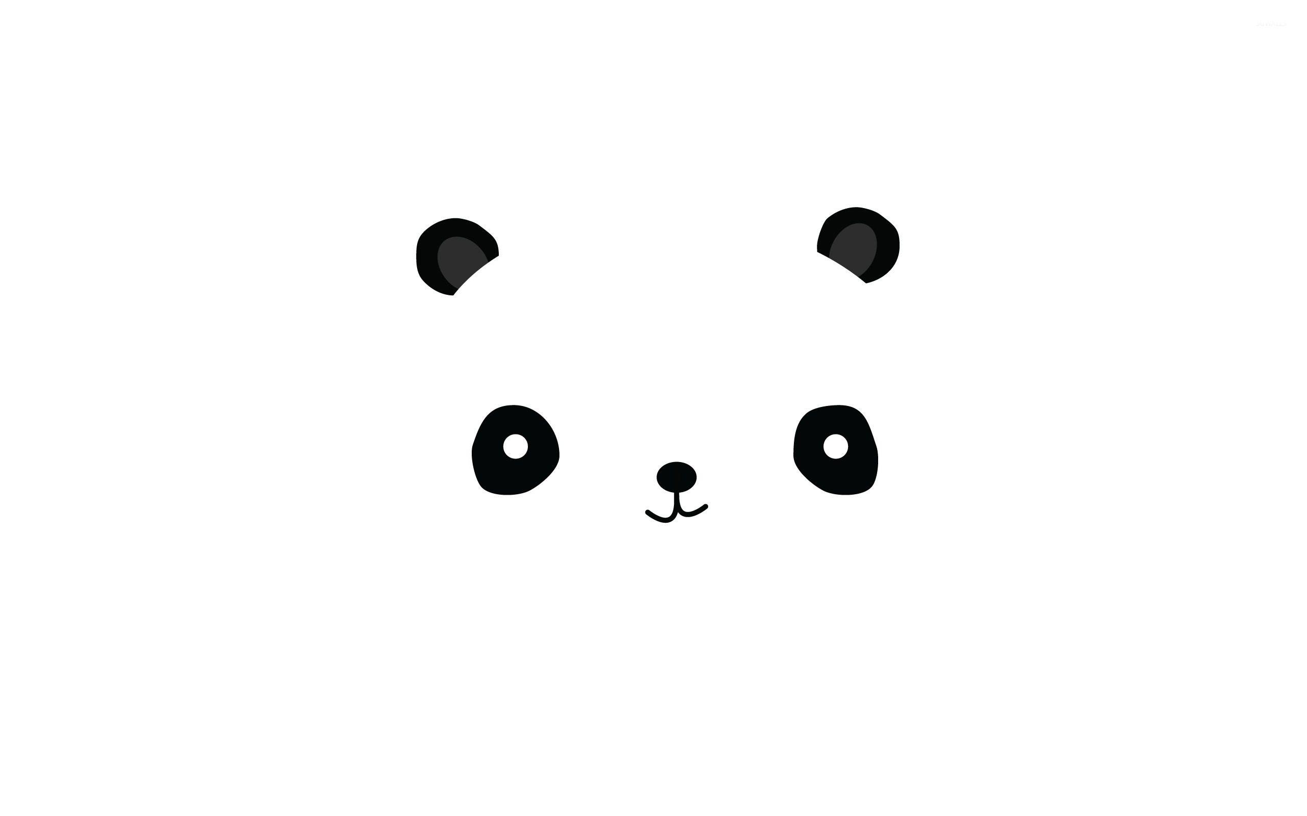 2560x1600 Panda face wallpaper wallpaper