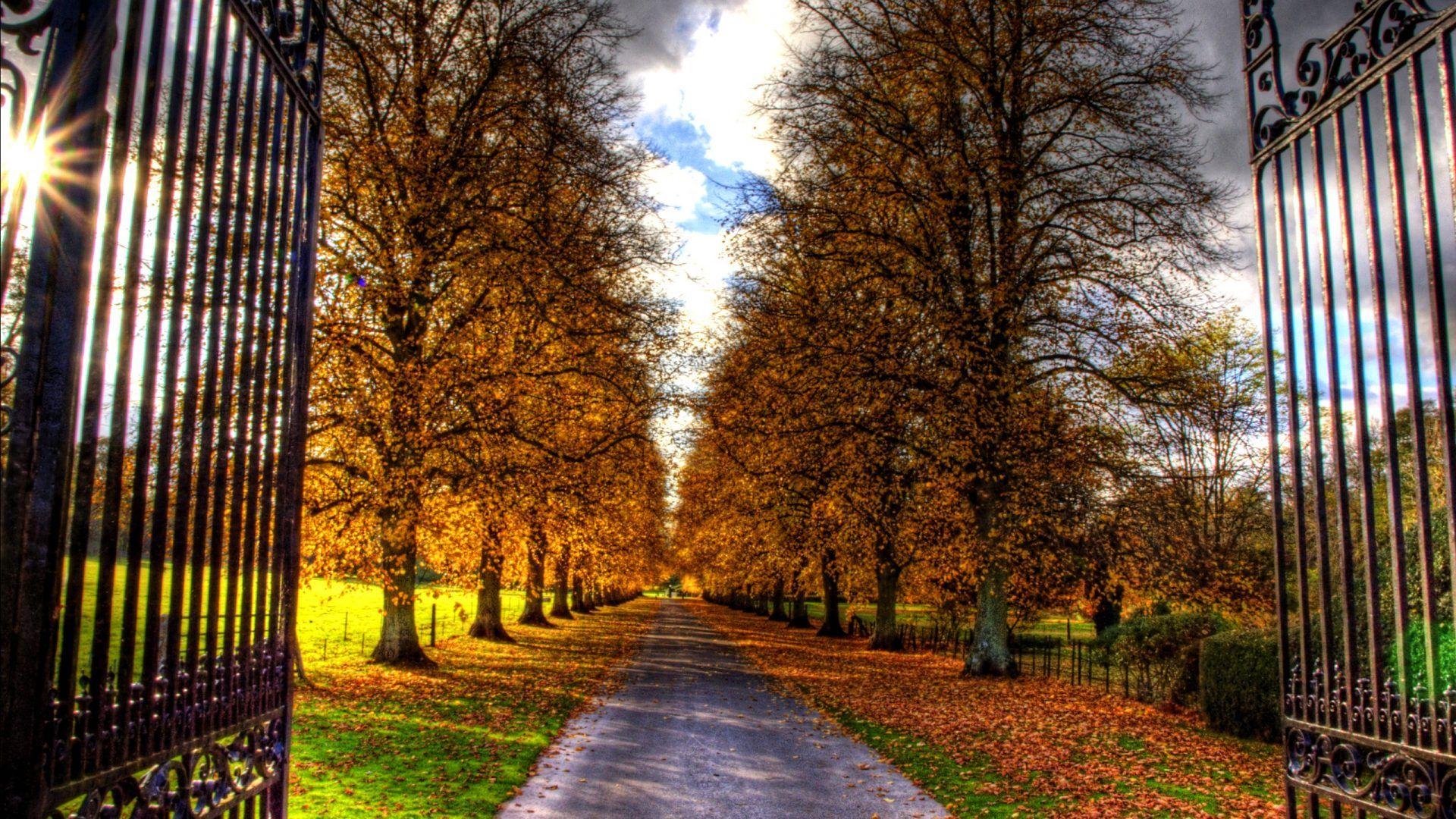 1920x1080 Wallpaper Tagged With Alley: Grass Gate Clouds Carpet Trees