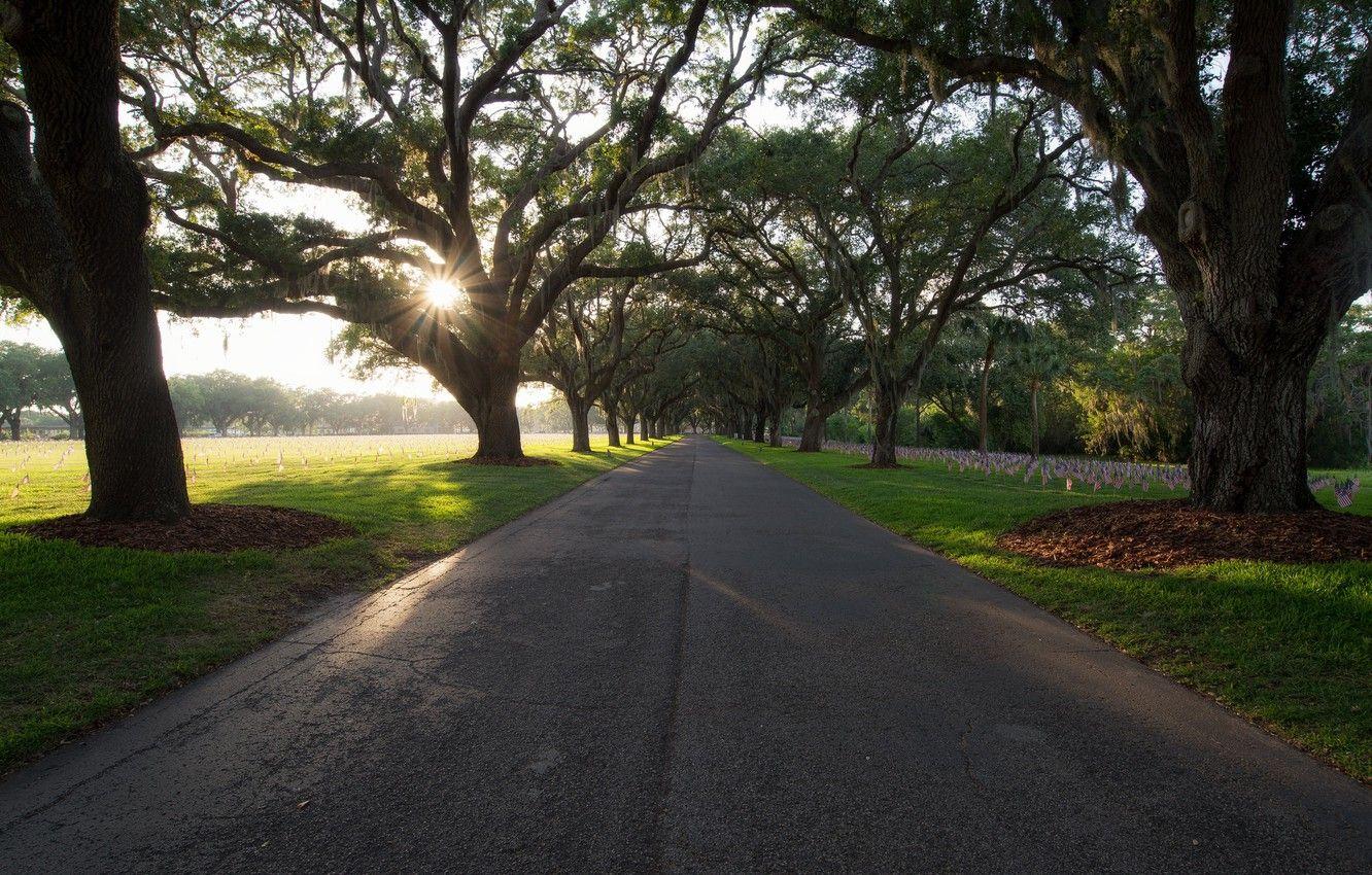 1332x850 Wallpaper United States, Florida, St .