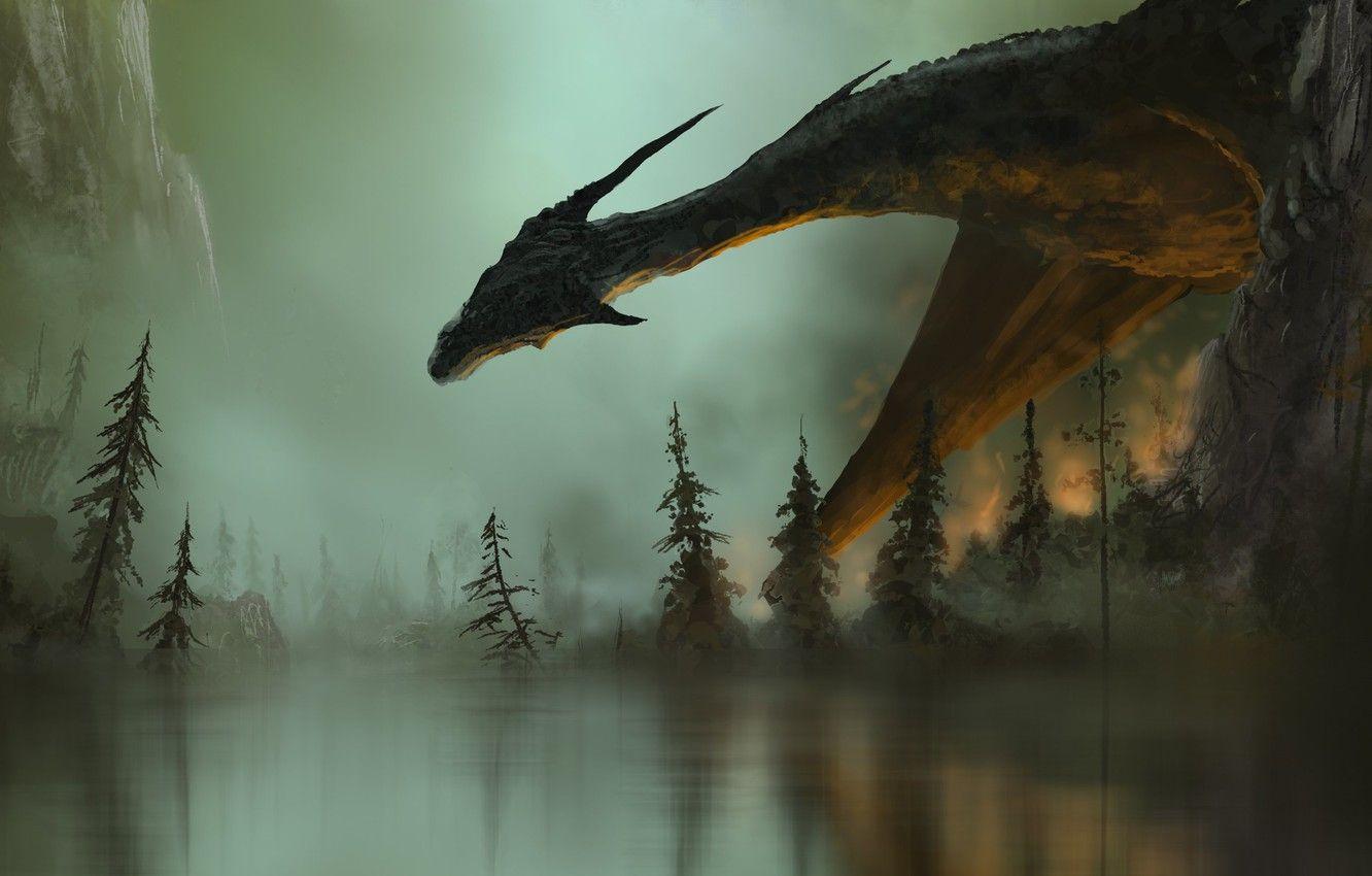 1332x850 Wallpaper fiction, fire, fire, dragon .