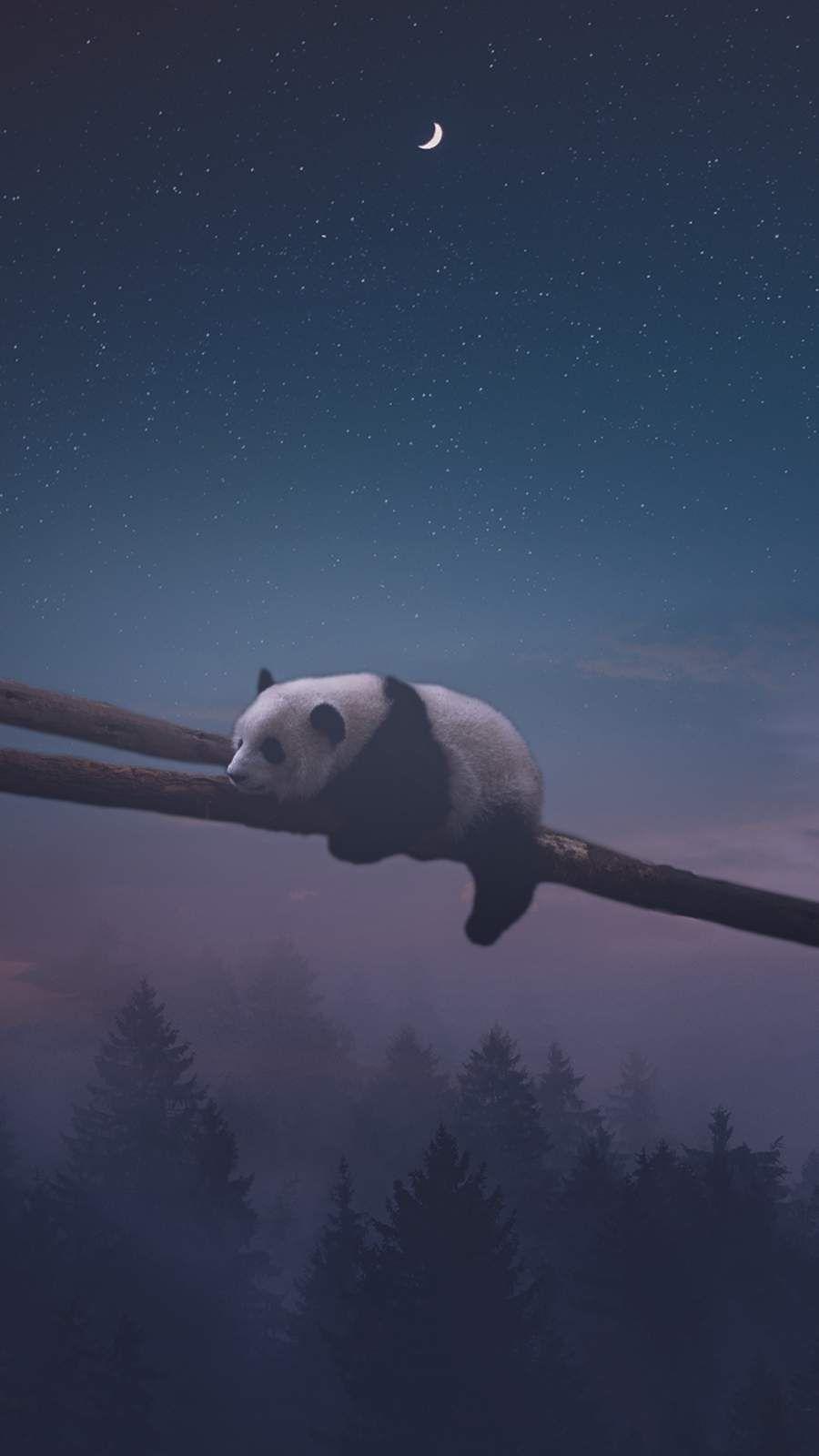 900x1600 Sleeping Panda iPhone Wallpaper. Sleeping panda, Cute panda wallpaper, Panda bears wallpaper