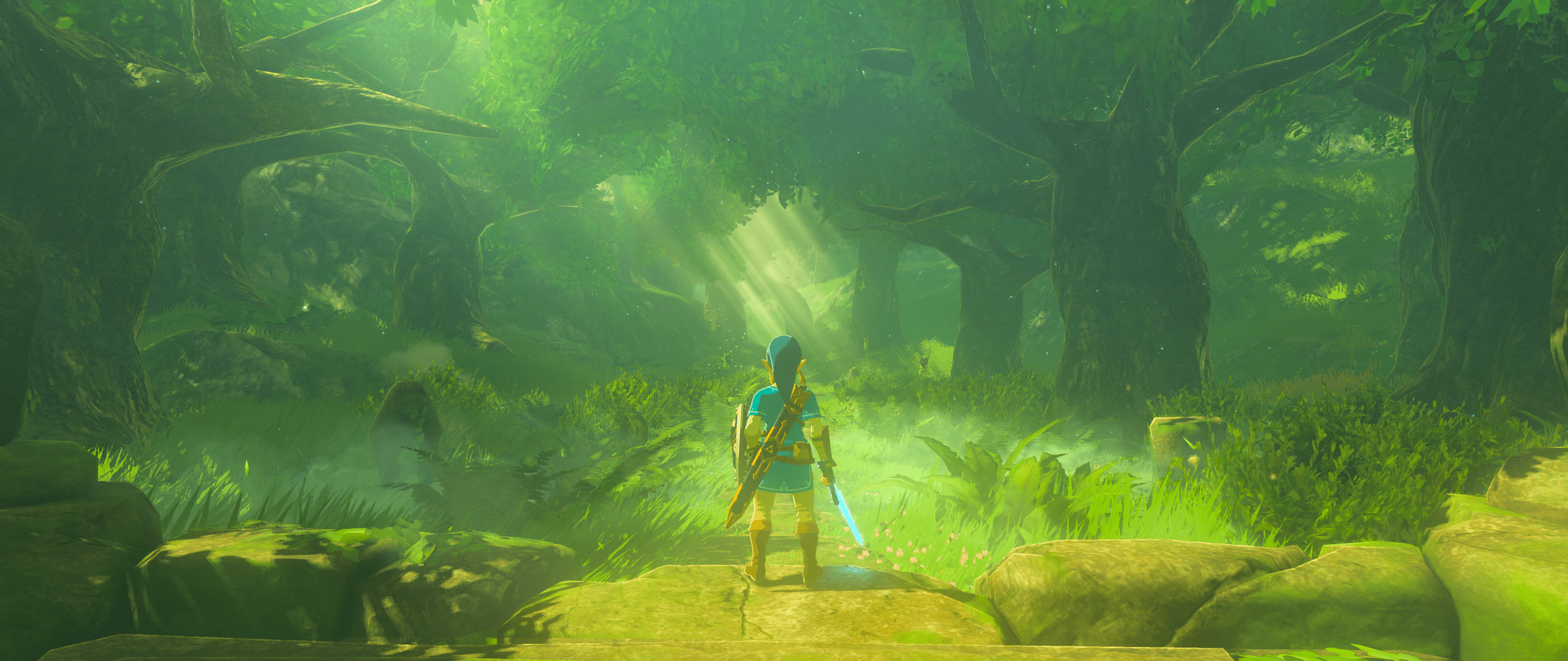 2560x1080 Zelda: Breath of the Wild at 5K 21