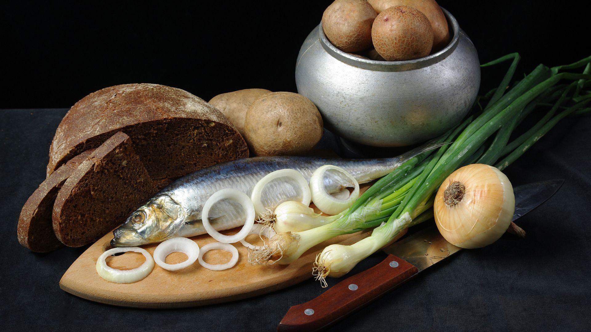 1920x1080 onion HD wallpaper,