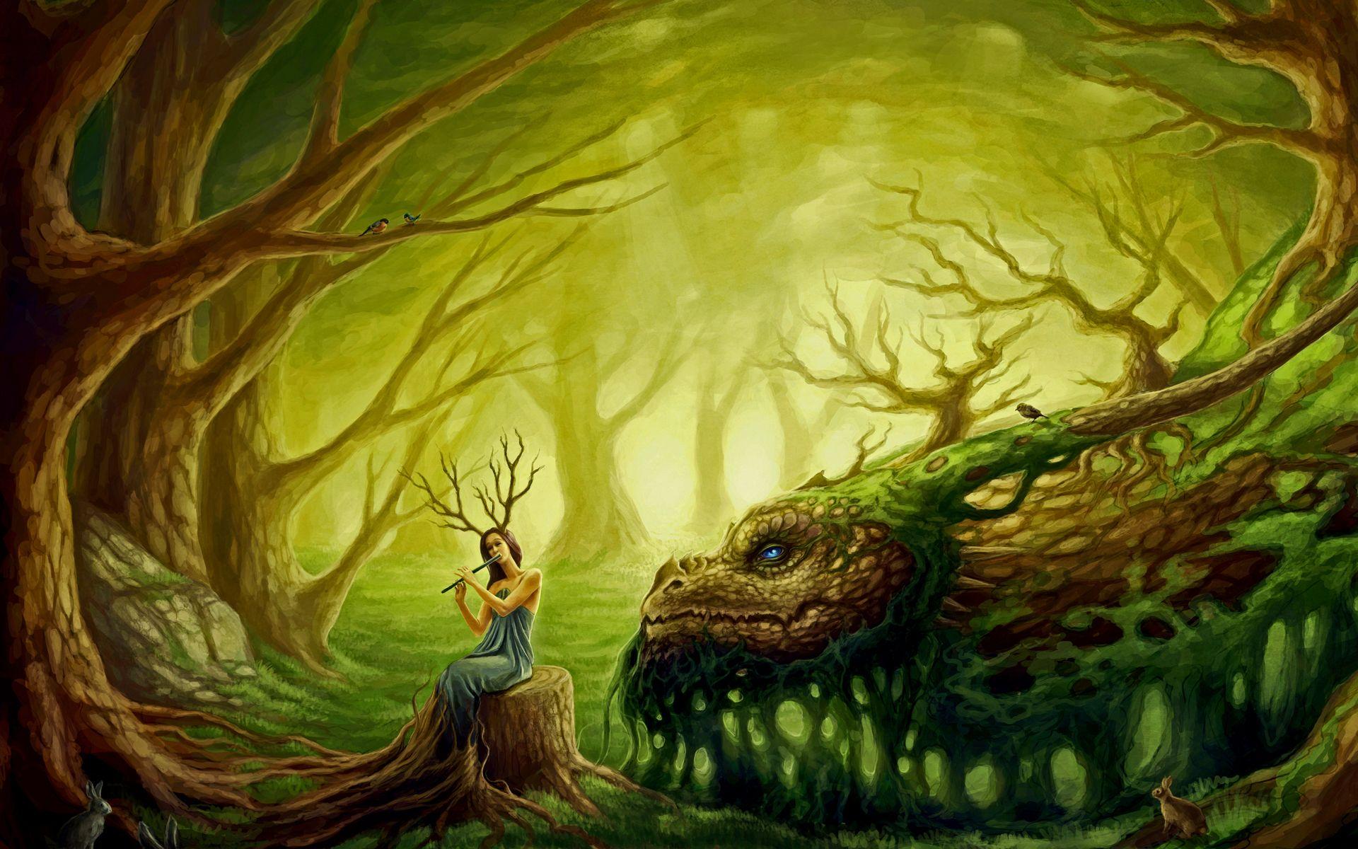 WoW Druid Wallpapers Top Free WoW Druid Backgrounds WallpaperAccess