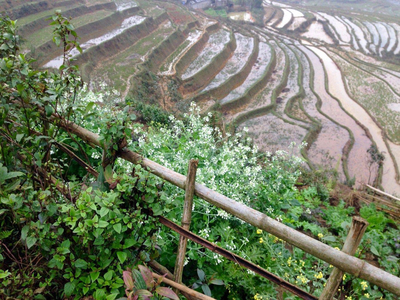 1400x1050 Hmong