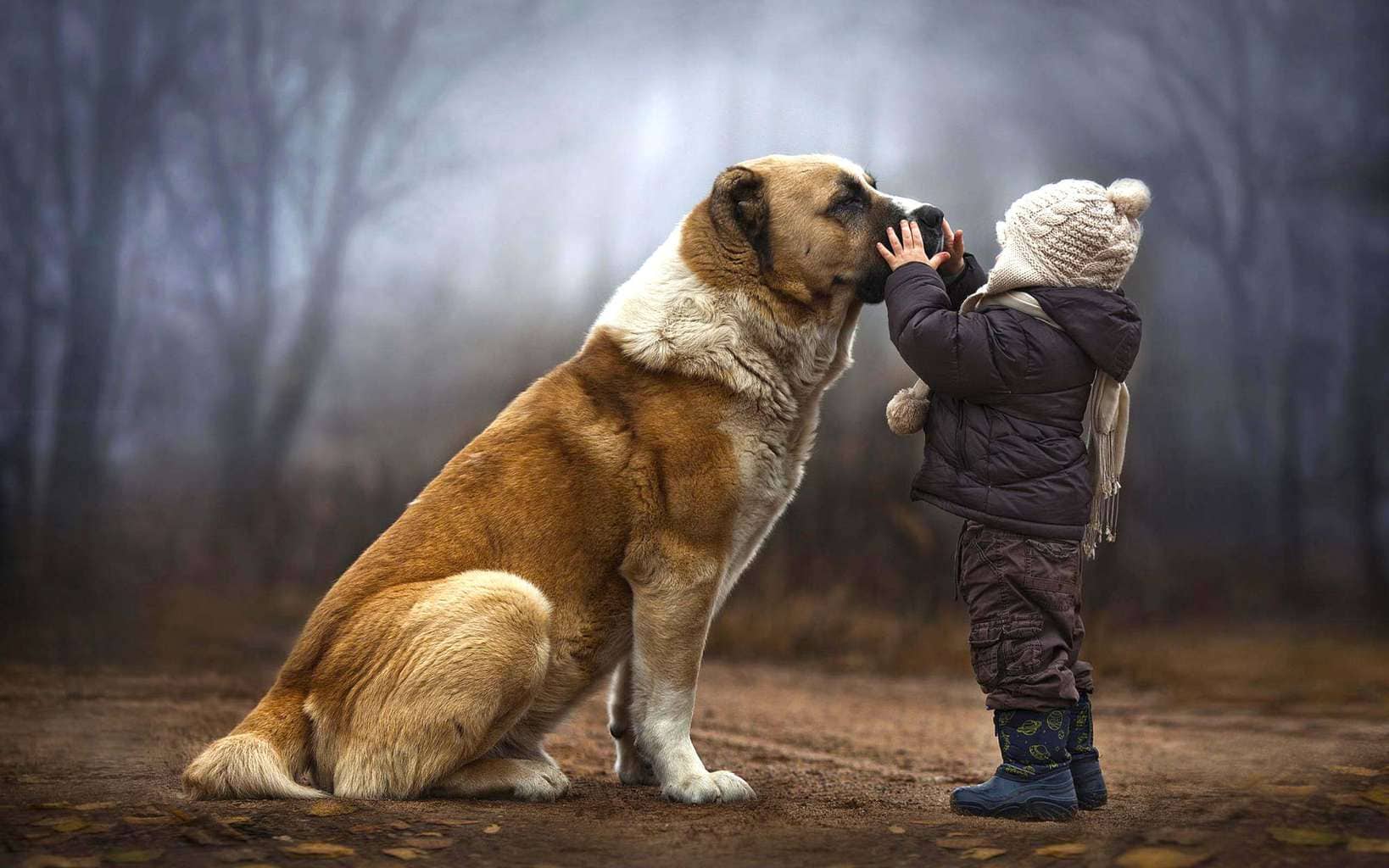 1638x1024 Animal & Human Friendship Image