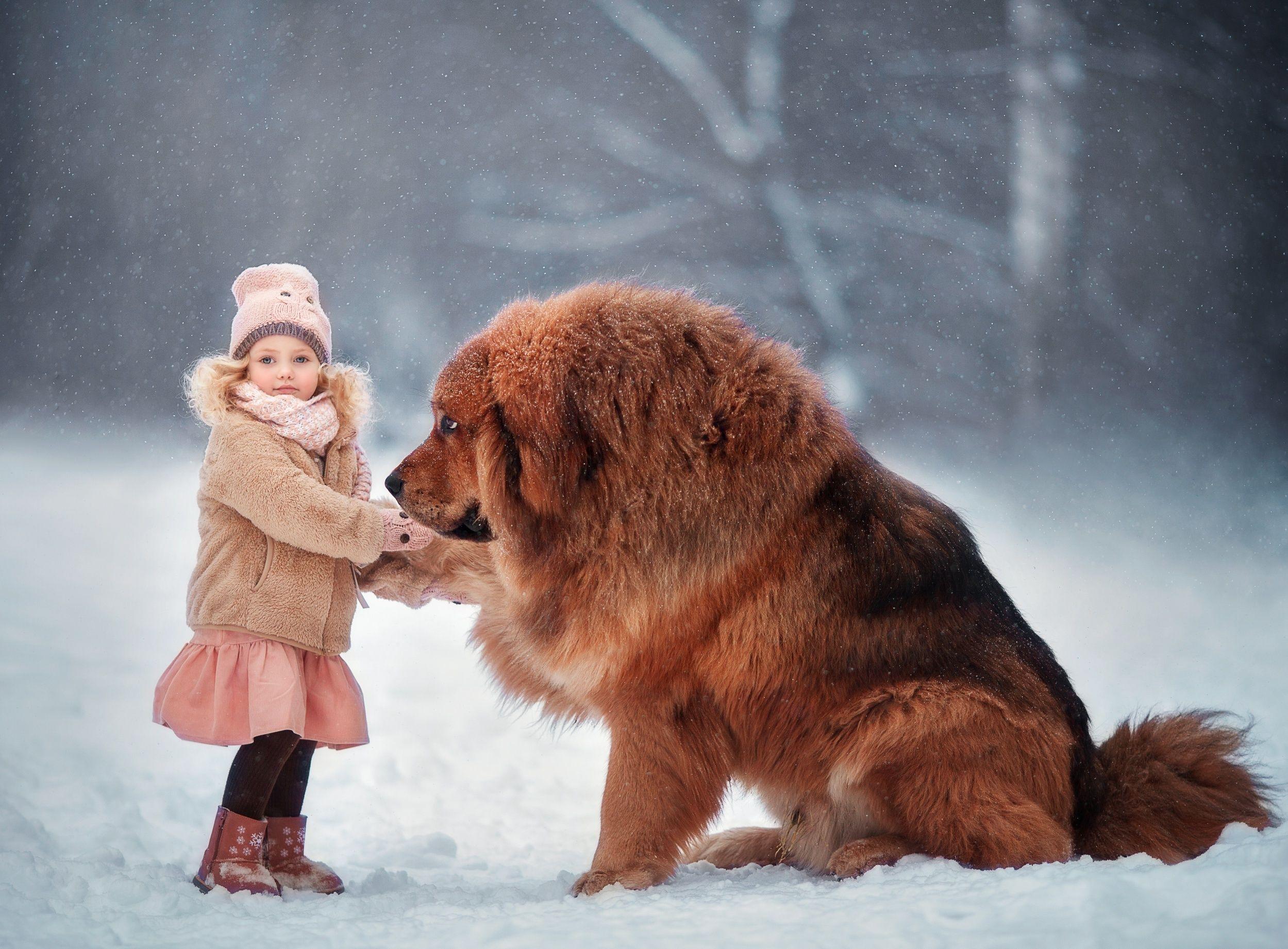2499x1842 Wallpaper. Children. Photo. Picture .wallpaper Fenix.eu