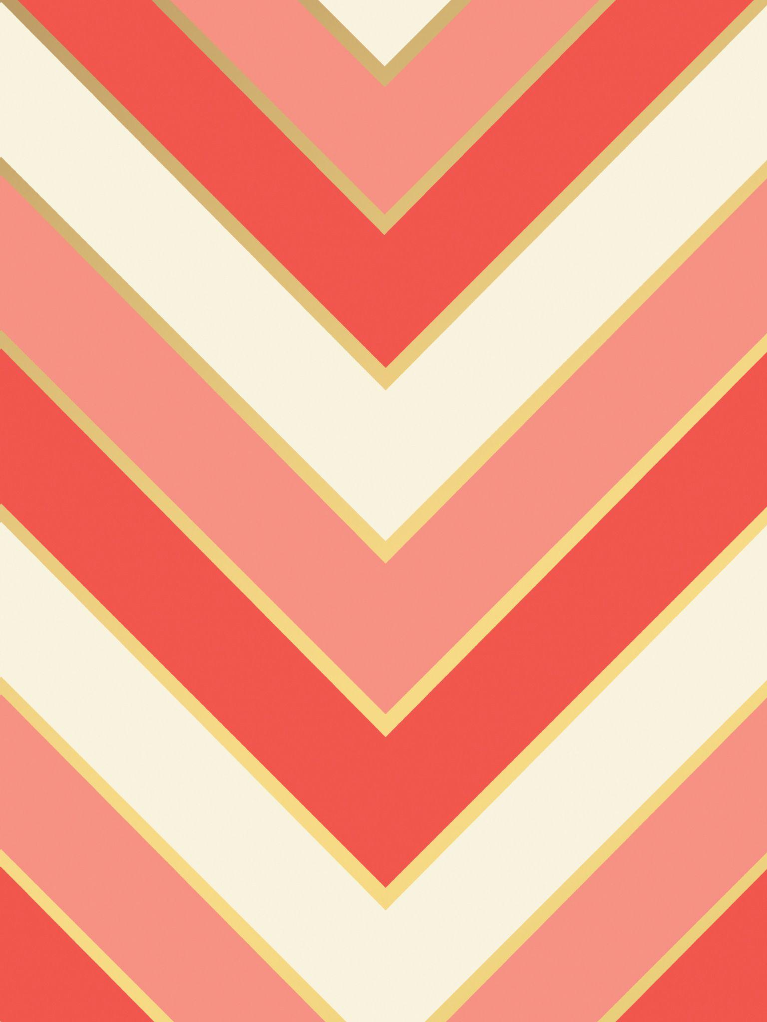 Cute Coral Wallpapers Top Free Cute Coral Backgrounds WallpaperAccess