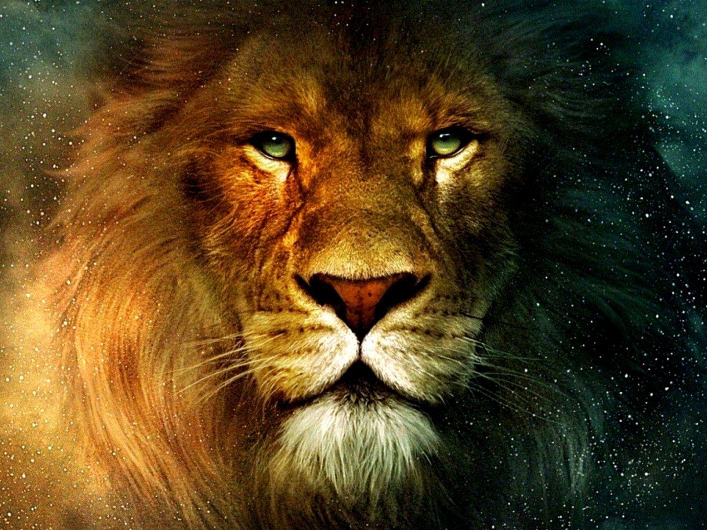 1444x1082 Artwork Lions 3D Chronicles Of Narnia .