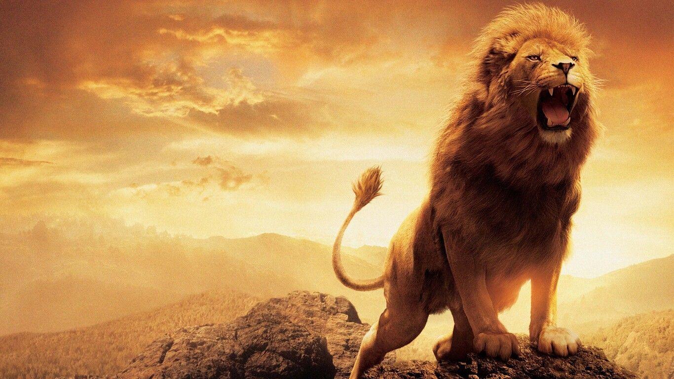 1366x768 Ultra HD Narnia Lion