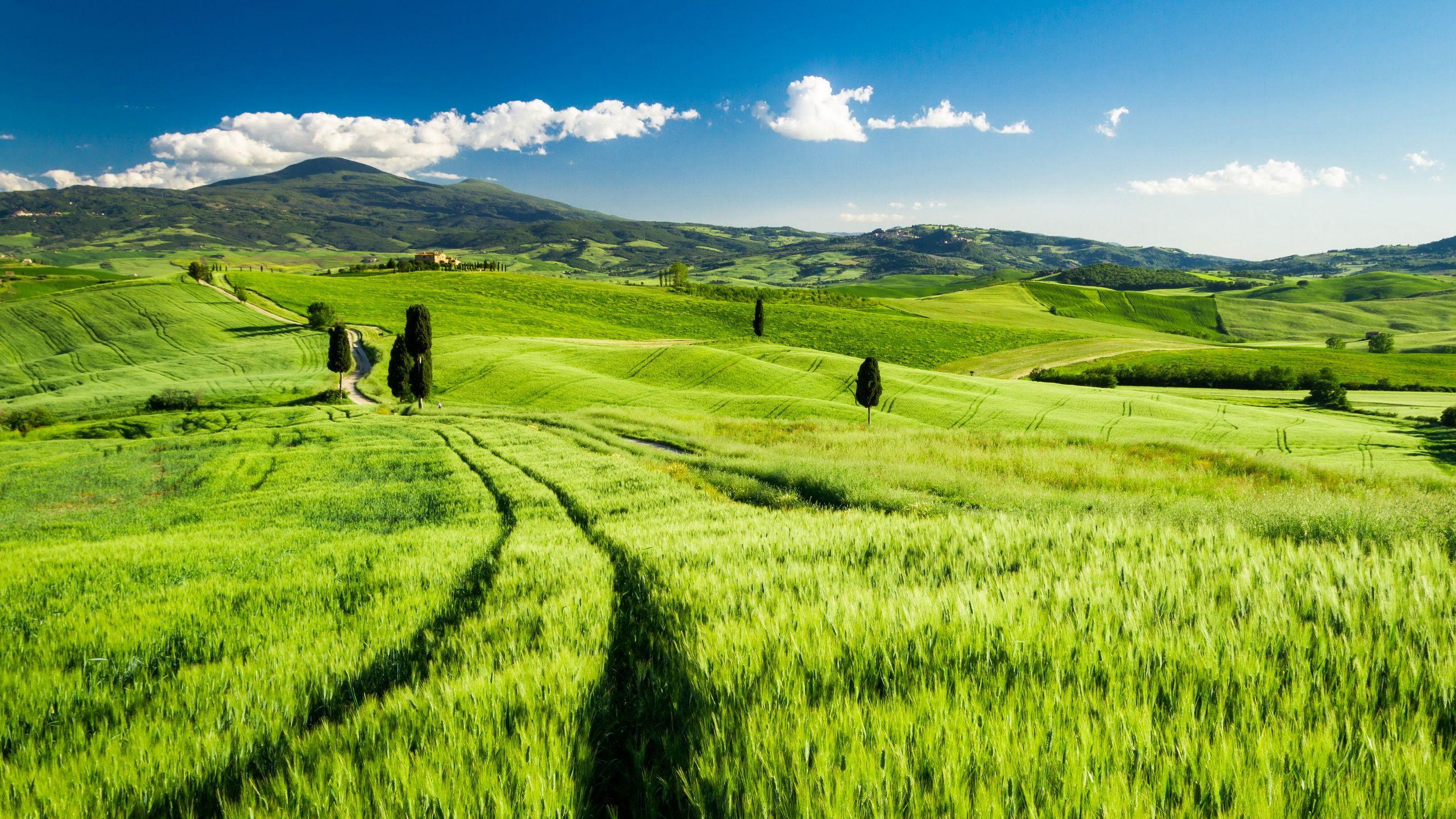 2560x1440 Wallpaper Tuscany, Italy, Landscape, 4K, Nature