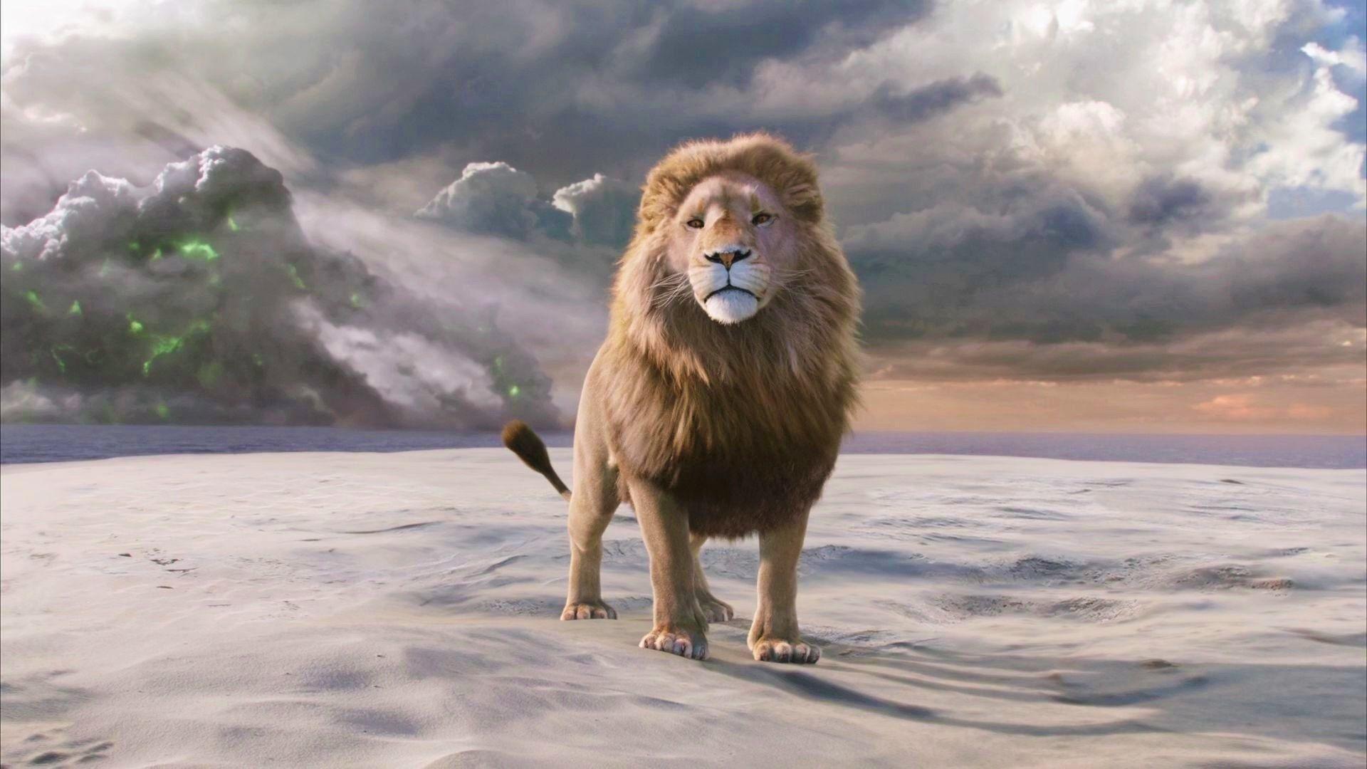 1920x1080 Narnia Wallpaper Aslan .