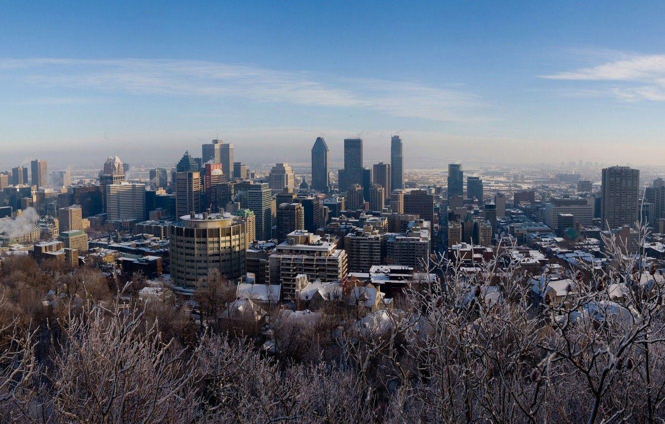 1332x850 Wallpaper winter, snow, trees, Montreal .