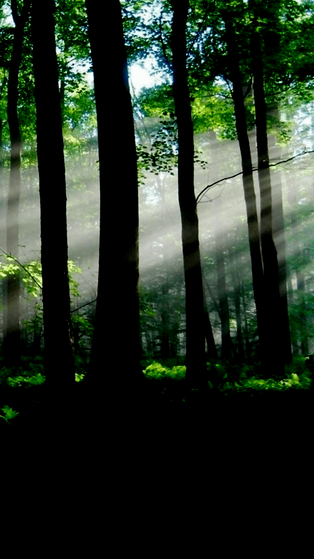 1080x1920 Nature Themed Amoled Background .