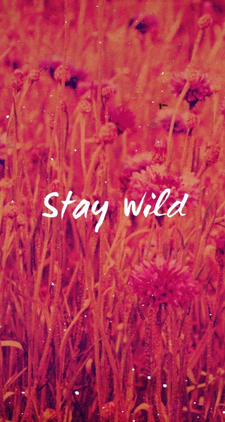 736x1377 Wild Background