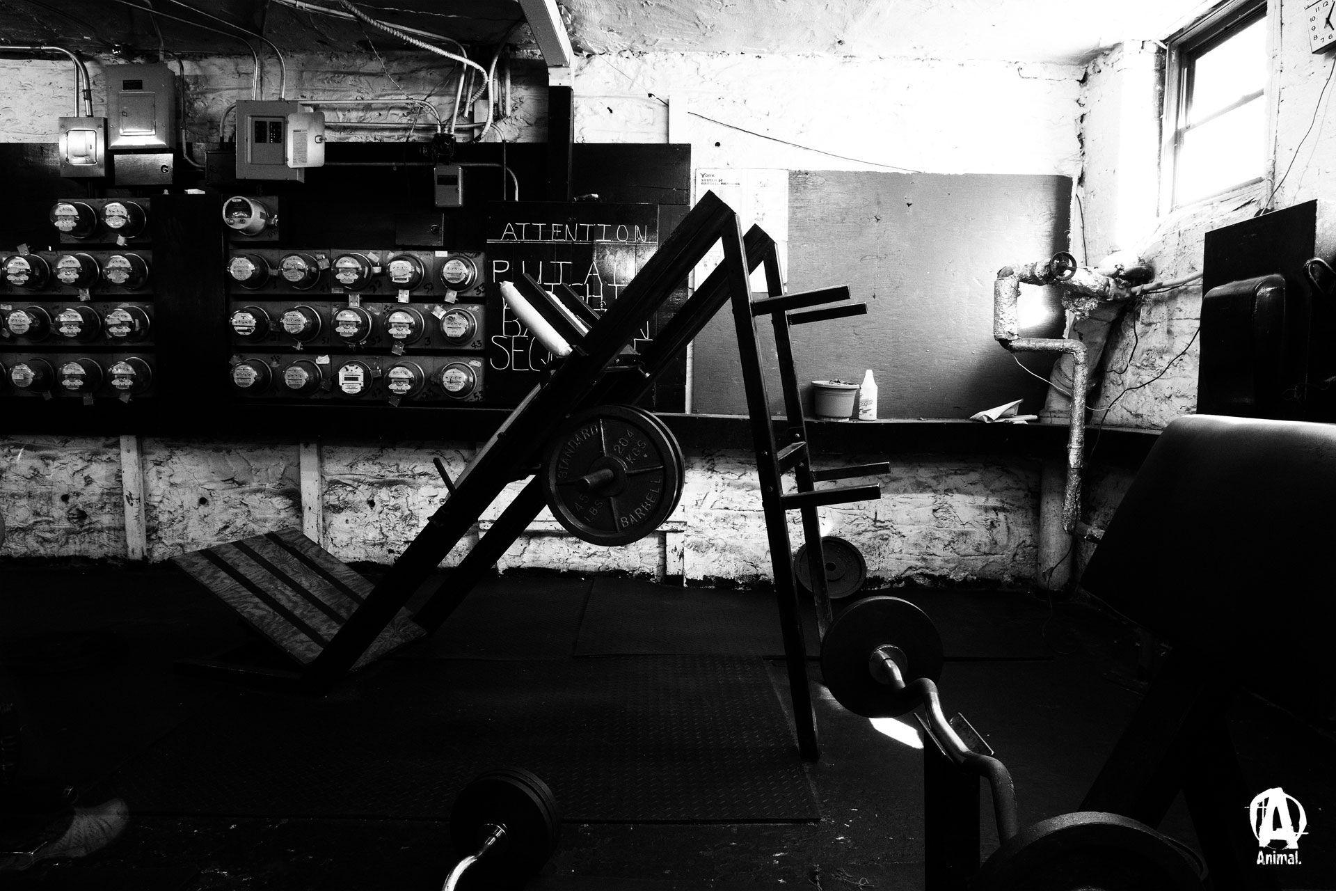 1920x1280 Gym Wallpaper HD Pak .