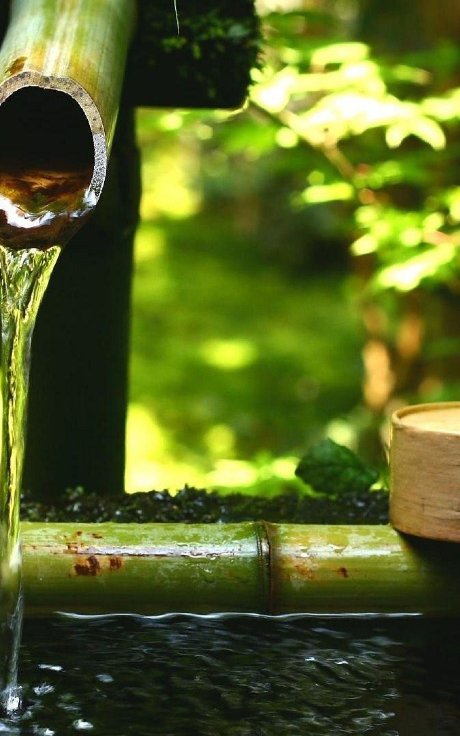 1600x2560 Download 1600x2560 Bamboo Water .