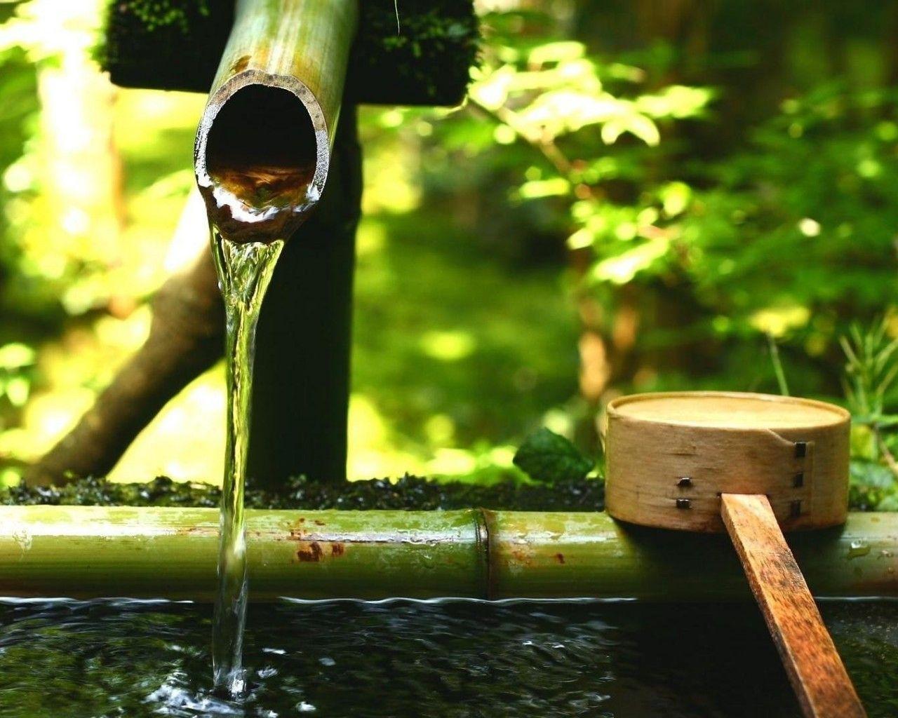 1280x1024 Download 1280x1024 Bamboo Water .