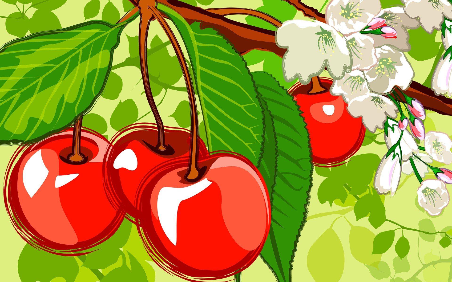 Cartoon Vegetable Wallpapers Top Free Cartoon Vegetable Backgrounds WallpaperAccess