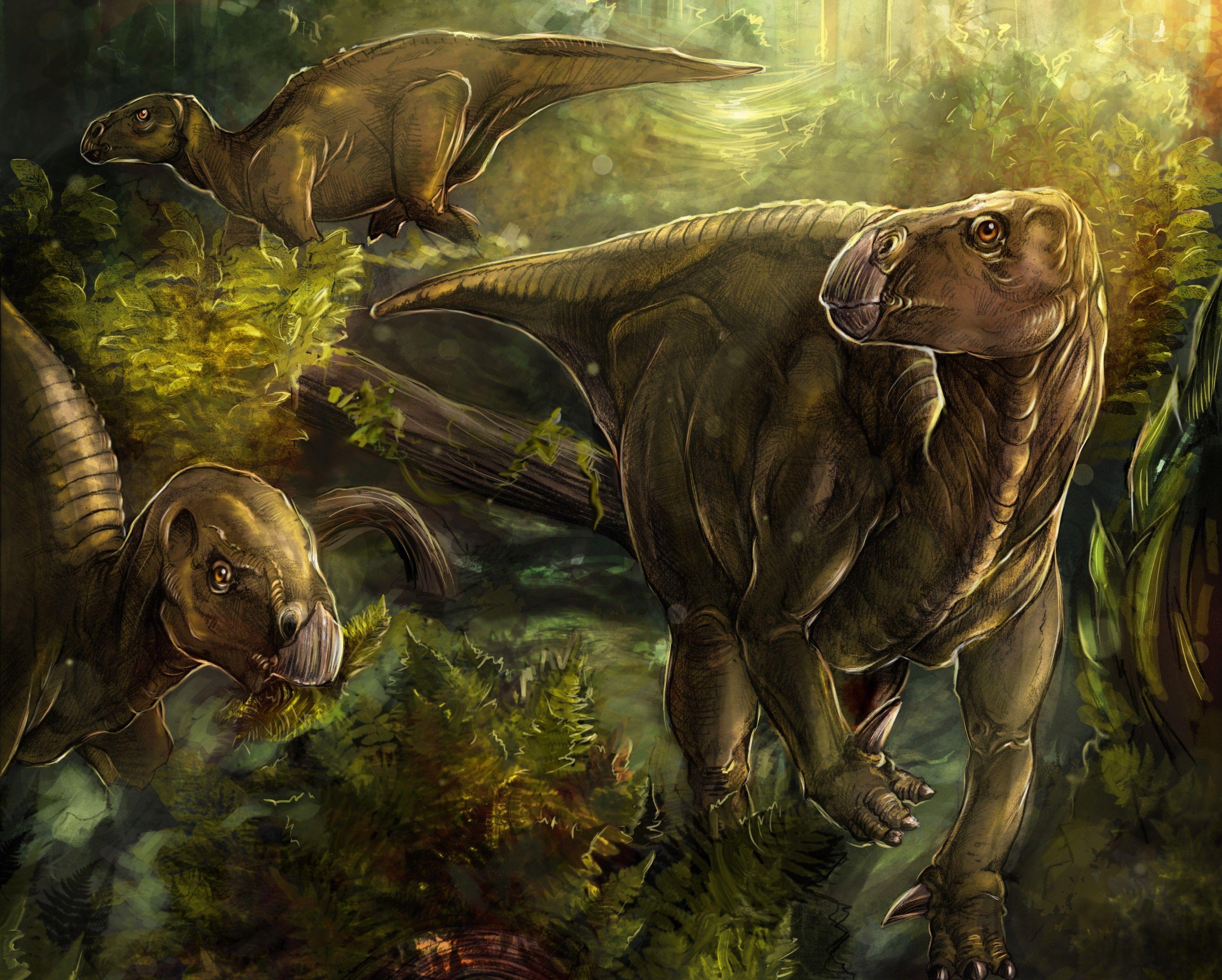 3301x2647 Iguanodon
