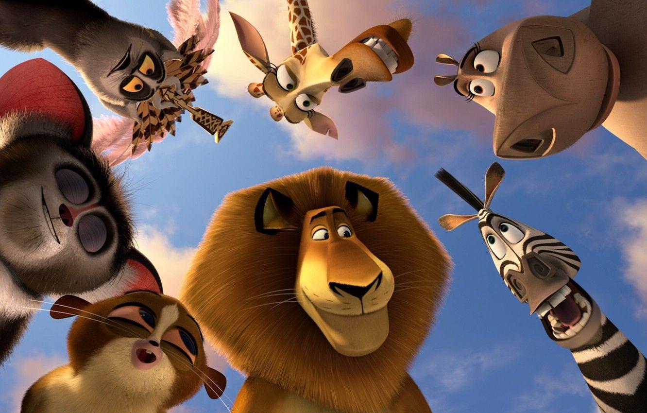 1332x850 Wallpaper animals, animals, cartoon .