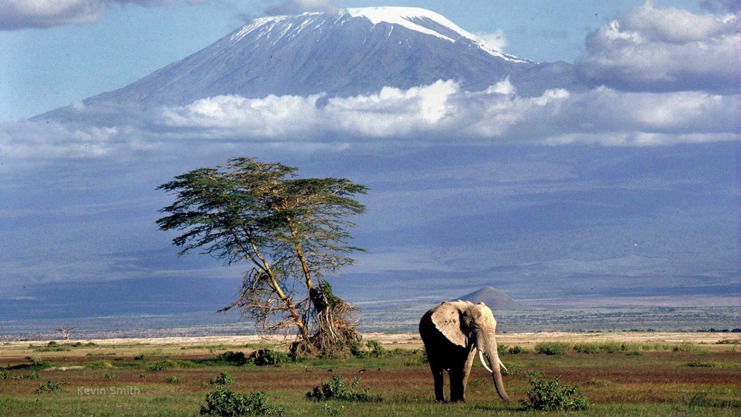2400x1350 Mount Kilimanjaro HD
