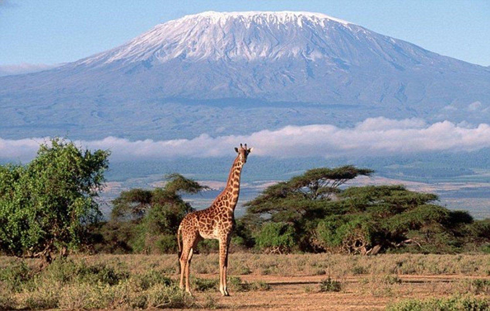 1699x1080 Free download Mount Kilimanjaro .