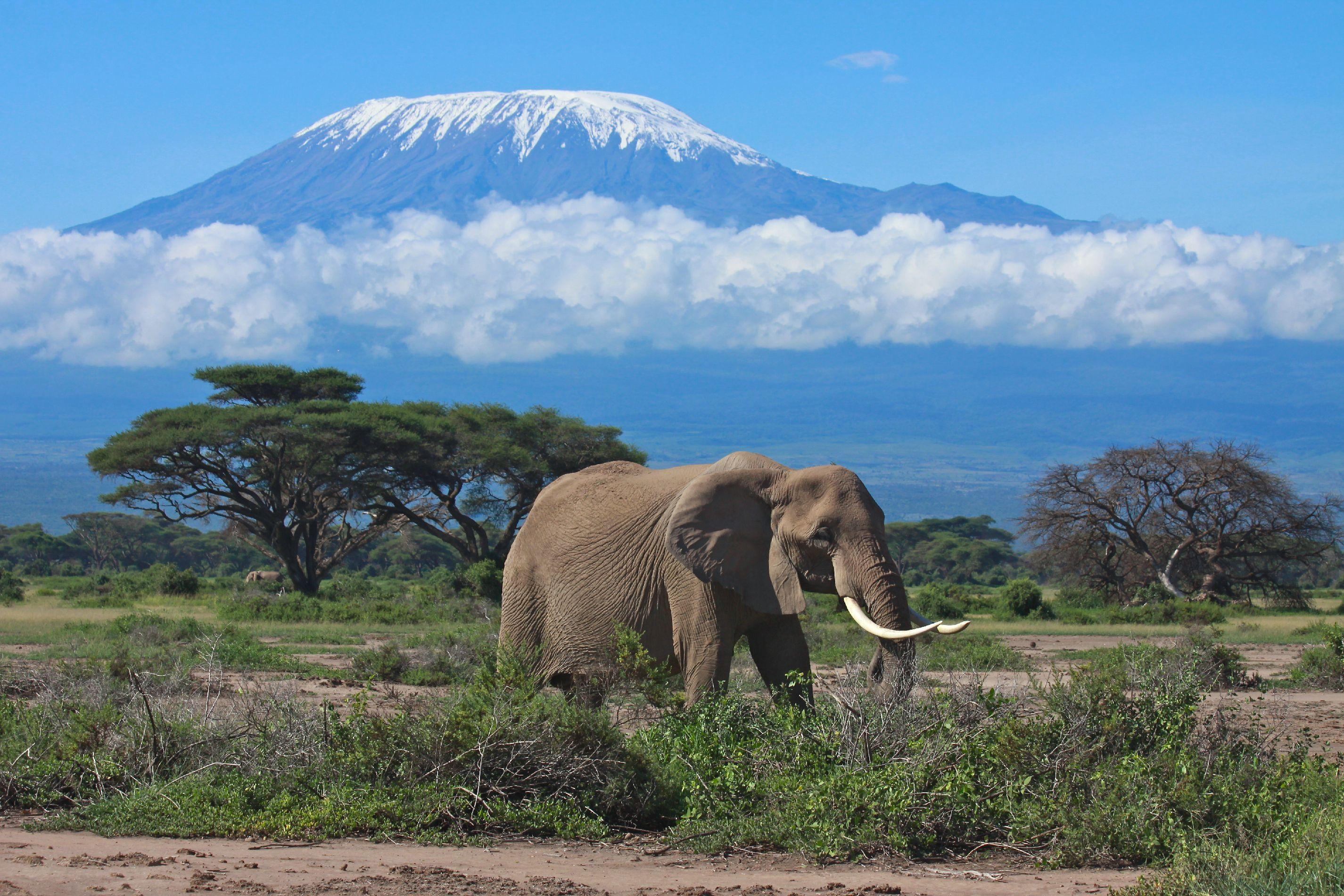 2851x1901 Kilimanjaro Mountain Wallpapermountain Hd Wallpaper.