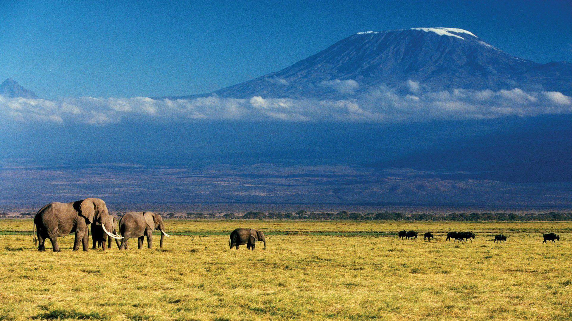 1920x1080 Discover Kilimanjaro. Highest Mountain .