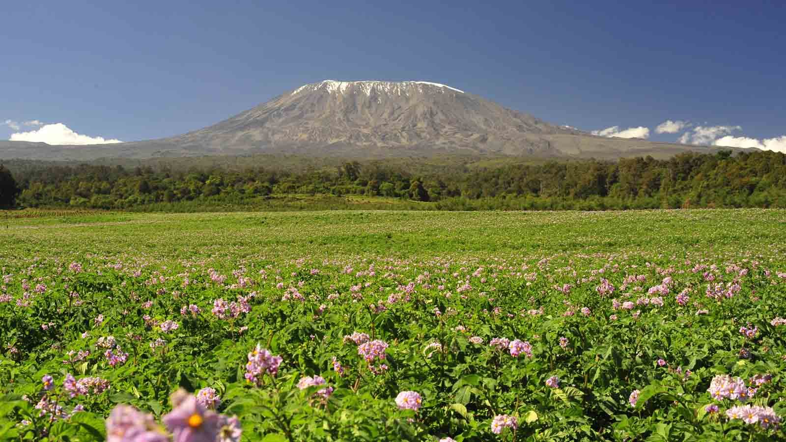 1600x900 Mount Kilimanjaro. Climbing .