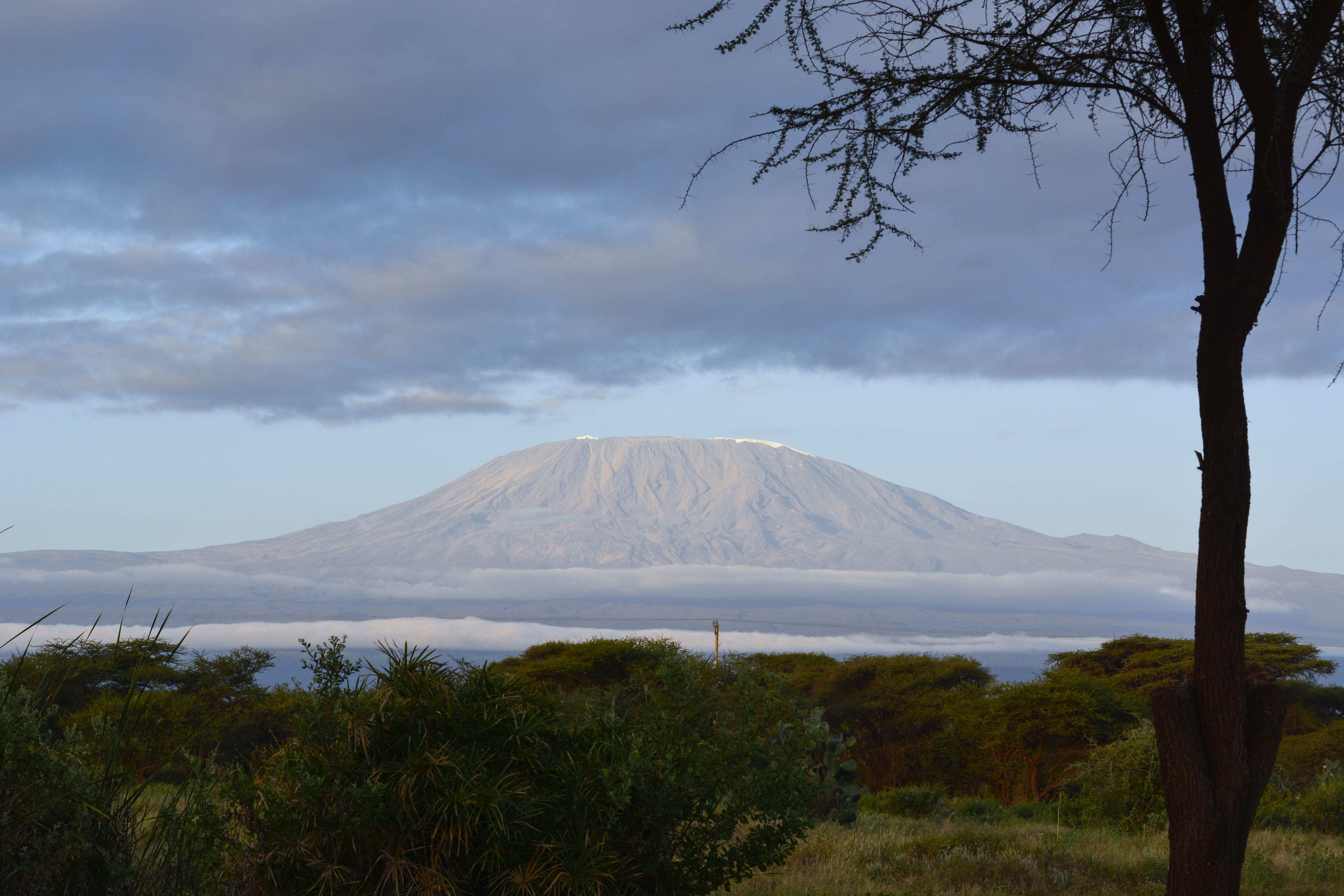 6000x4000 Free of Kilimanjaro,