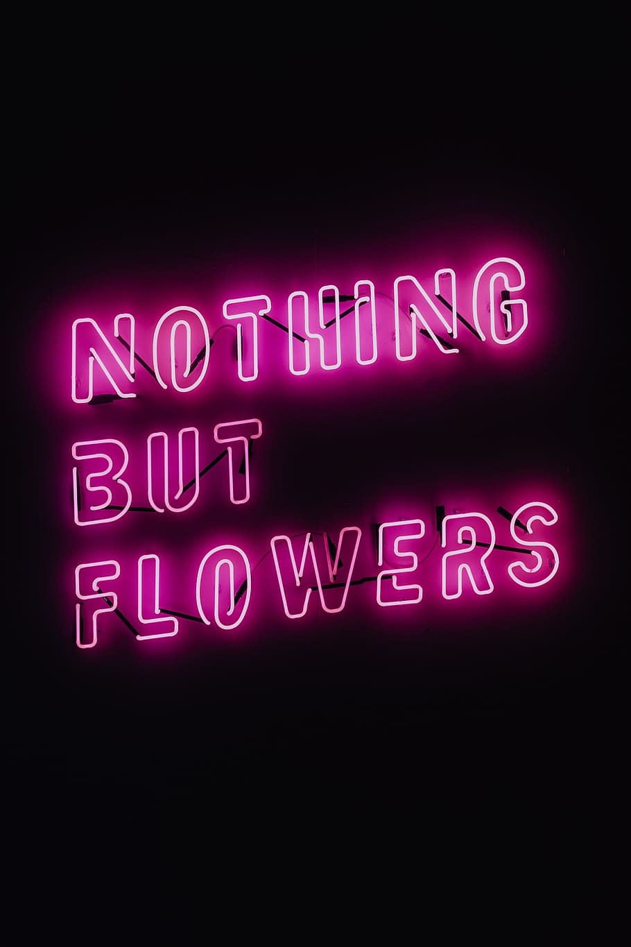 910x1365 Glowing Pink Roses Wallpaper on .wallpaper.dog