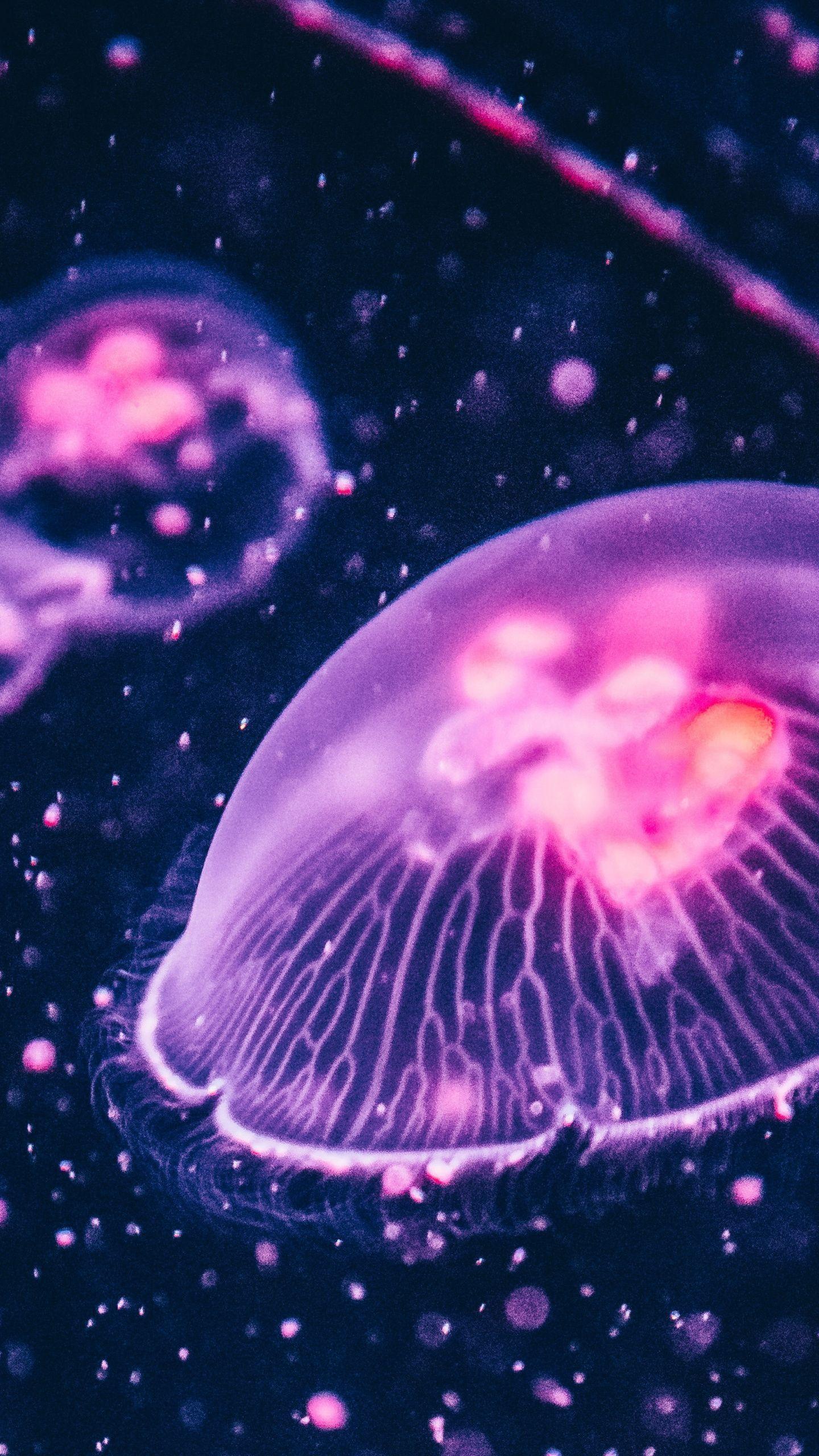 1440x2560 Pink glow, jellyfish wallpaper .com