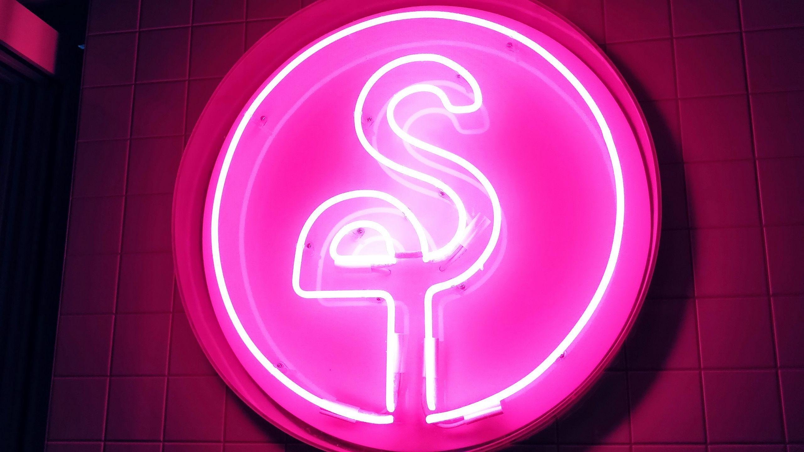 2560x1440 Download wallpaper 2560x1440 neon, signboard, flamingo, pink, glow, electricity widescreen 16:9 HD background