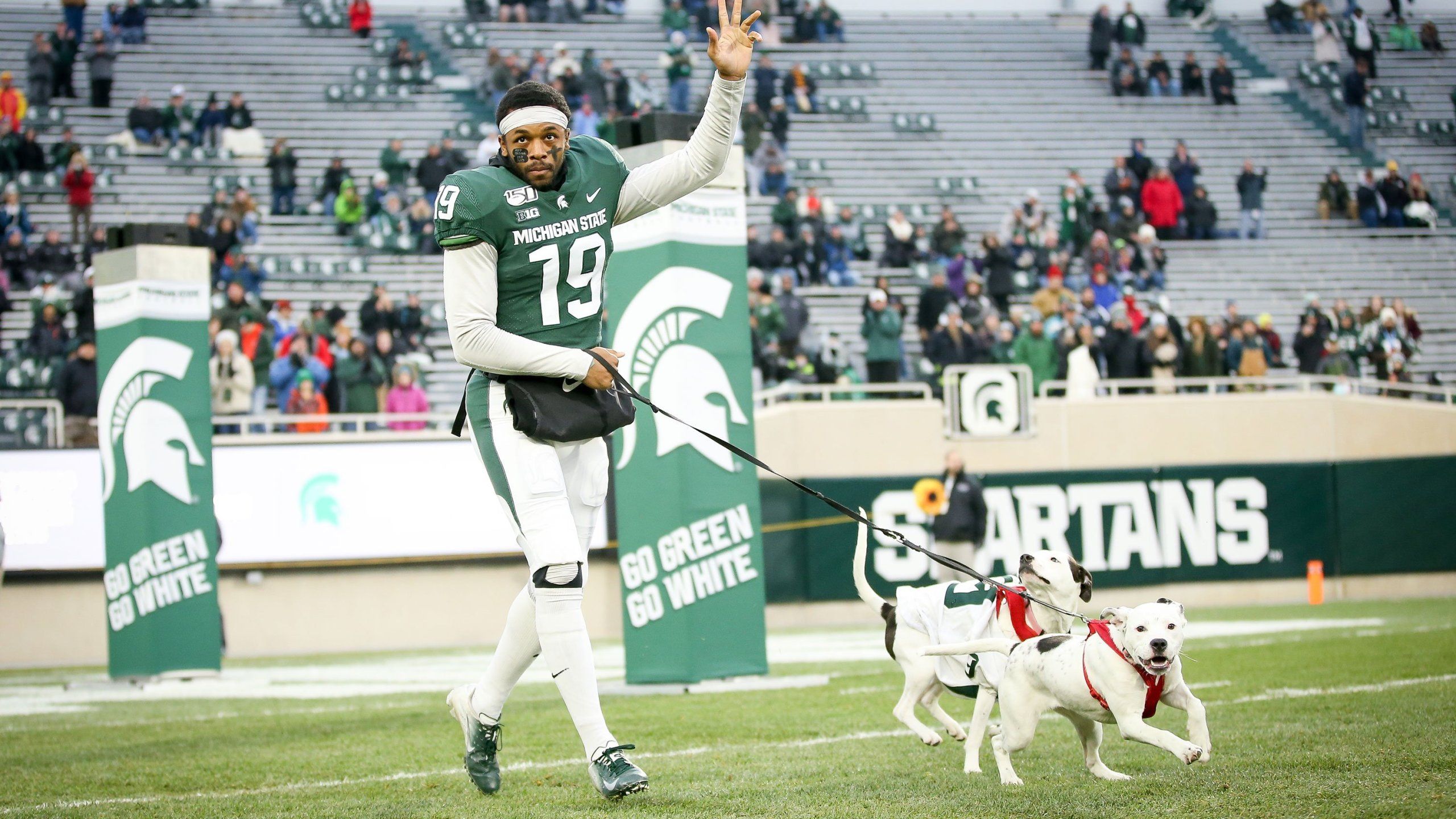 2560x1440 College football player walked with dogs on Senior Day after parents die suddenly