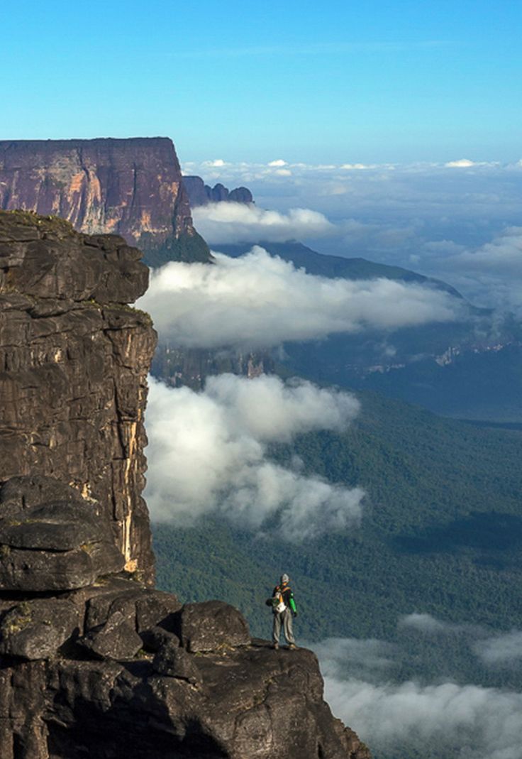 736x1069 Parque Nacional do Monte Roraima, Uiramutã