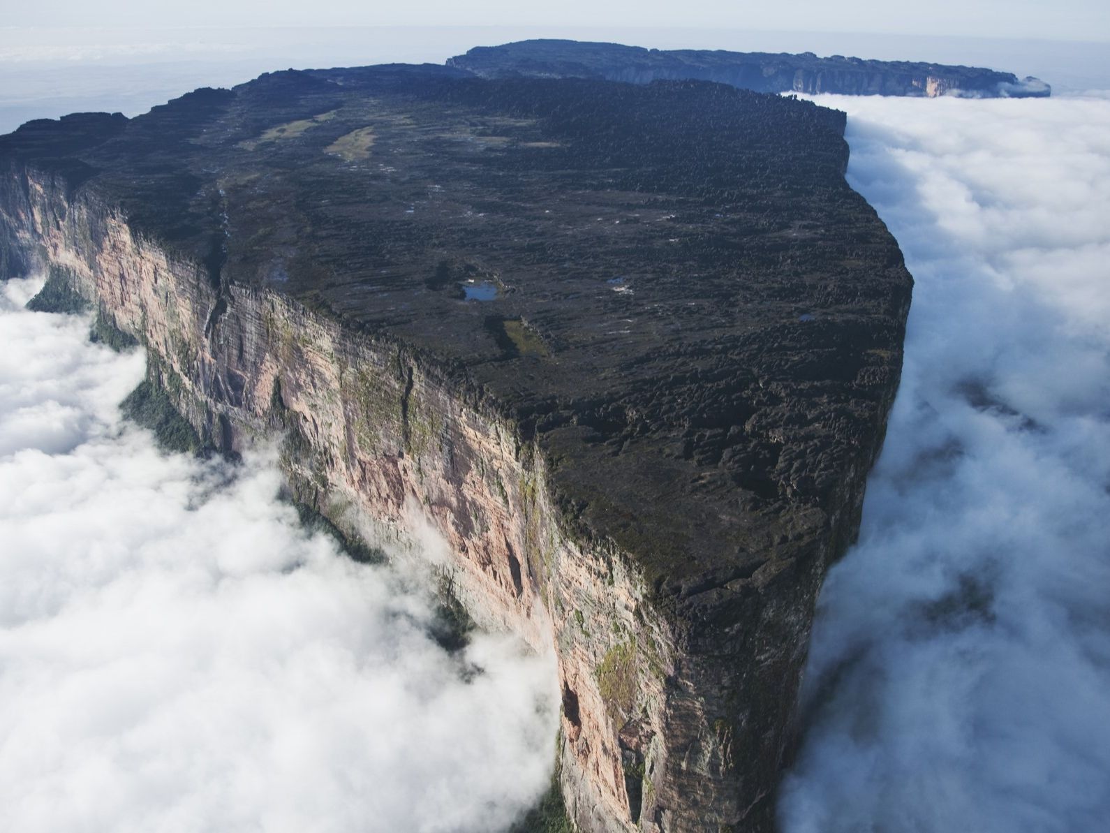 1590x1193 Mount Roraima: The 'lost world' isolated for millions of years that Indigenous people call the 'house of the gods'