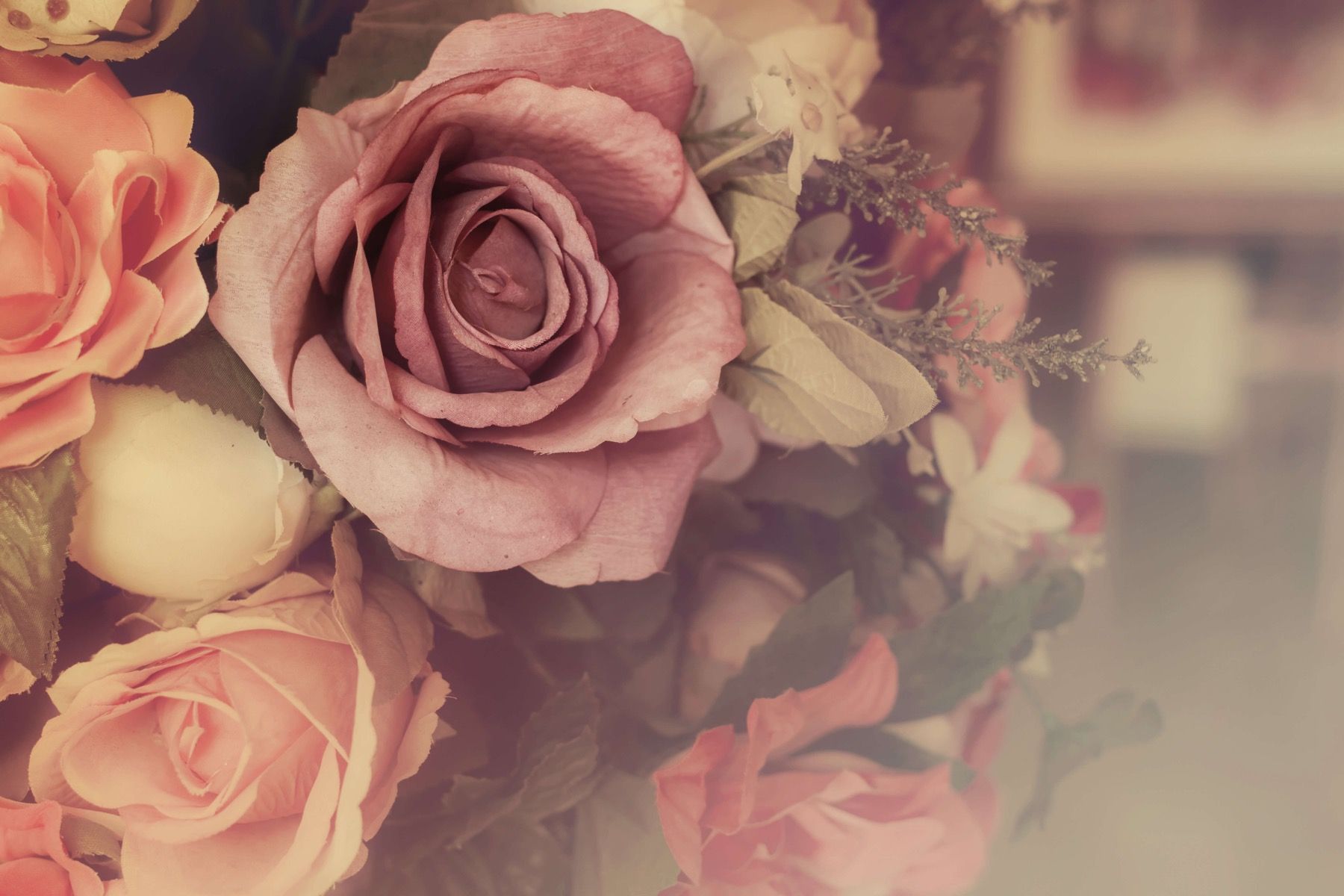 1800x1200 Vintage pink roses