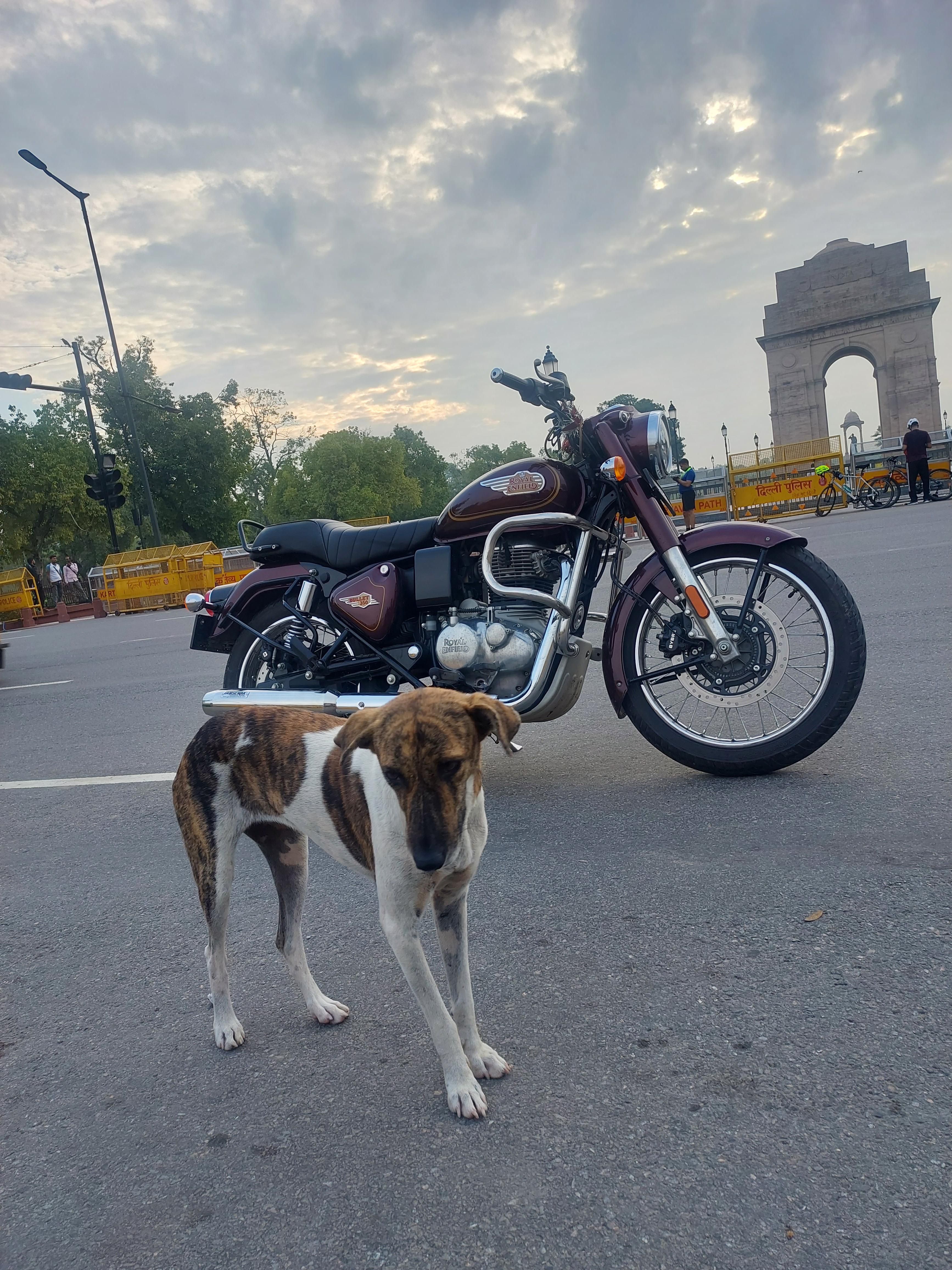 3468x4624 