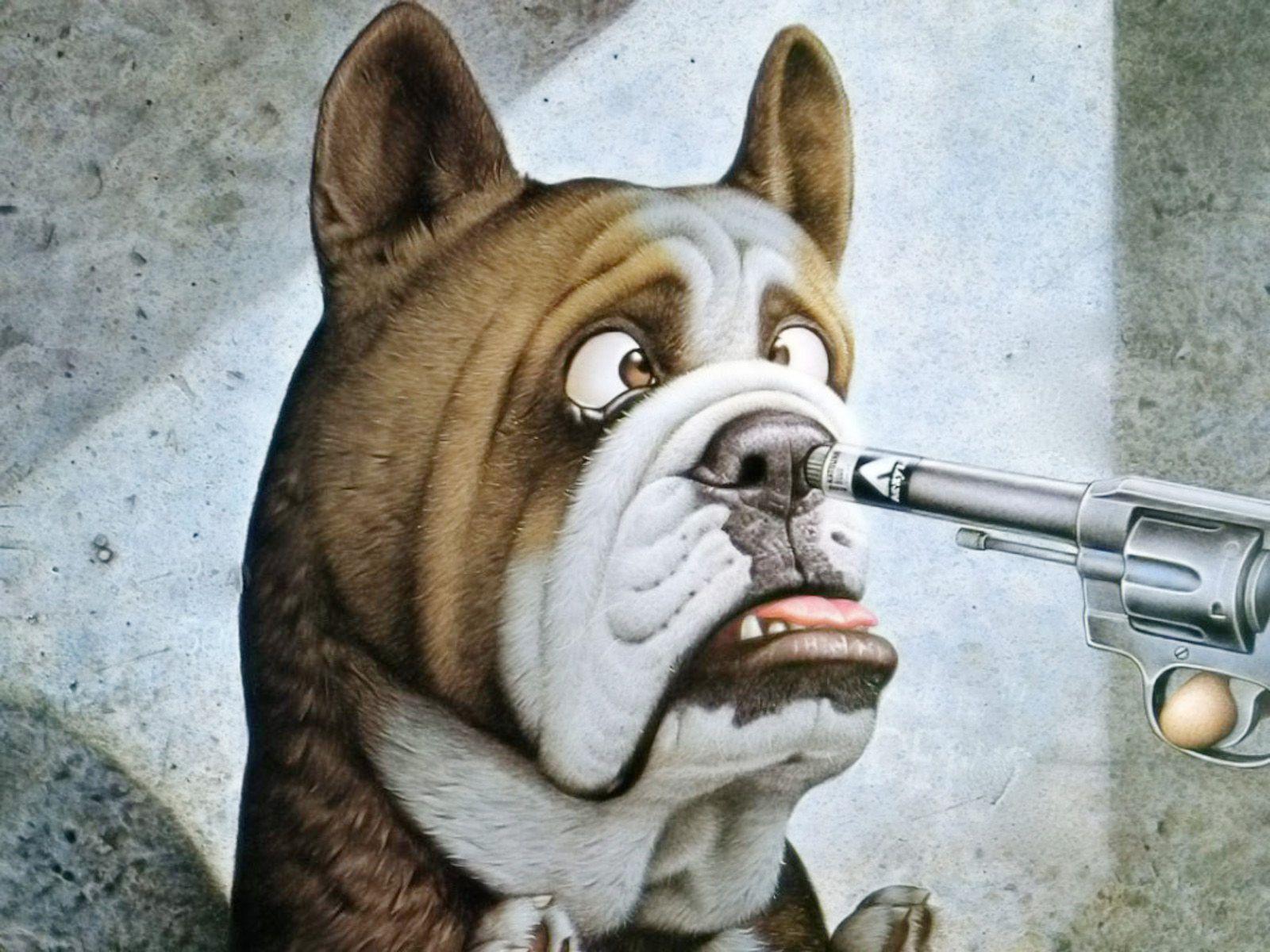 1600x1200 Funny Dog Wallpaper