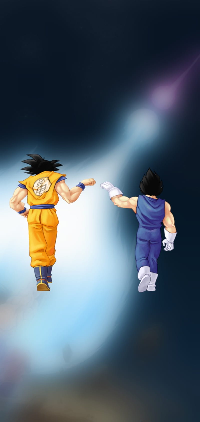 800x1680 Goku y Vegeta, dragon ball, dragon ball z, HD phone wallpaper