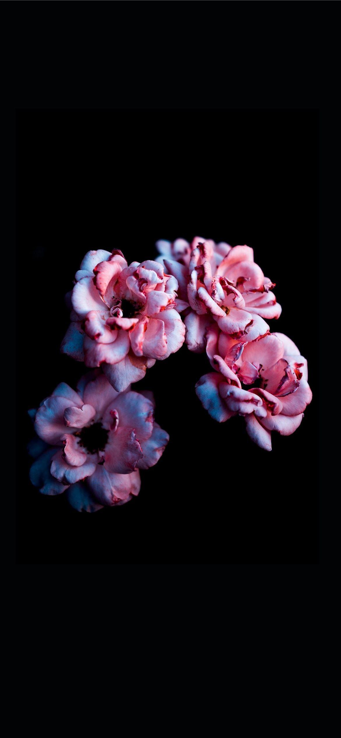 Gold Floral iPhone Wallpapers Top Free Gold Floral iPhone Backgrounds