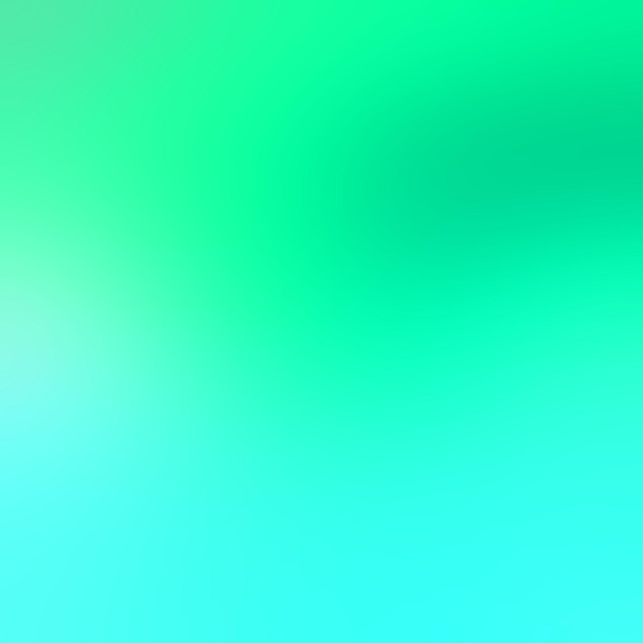 2448x2448 Bright Green Wallpaper