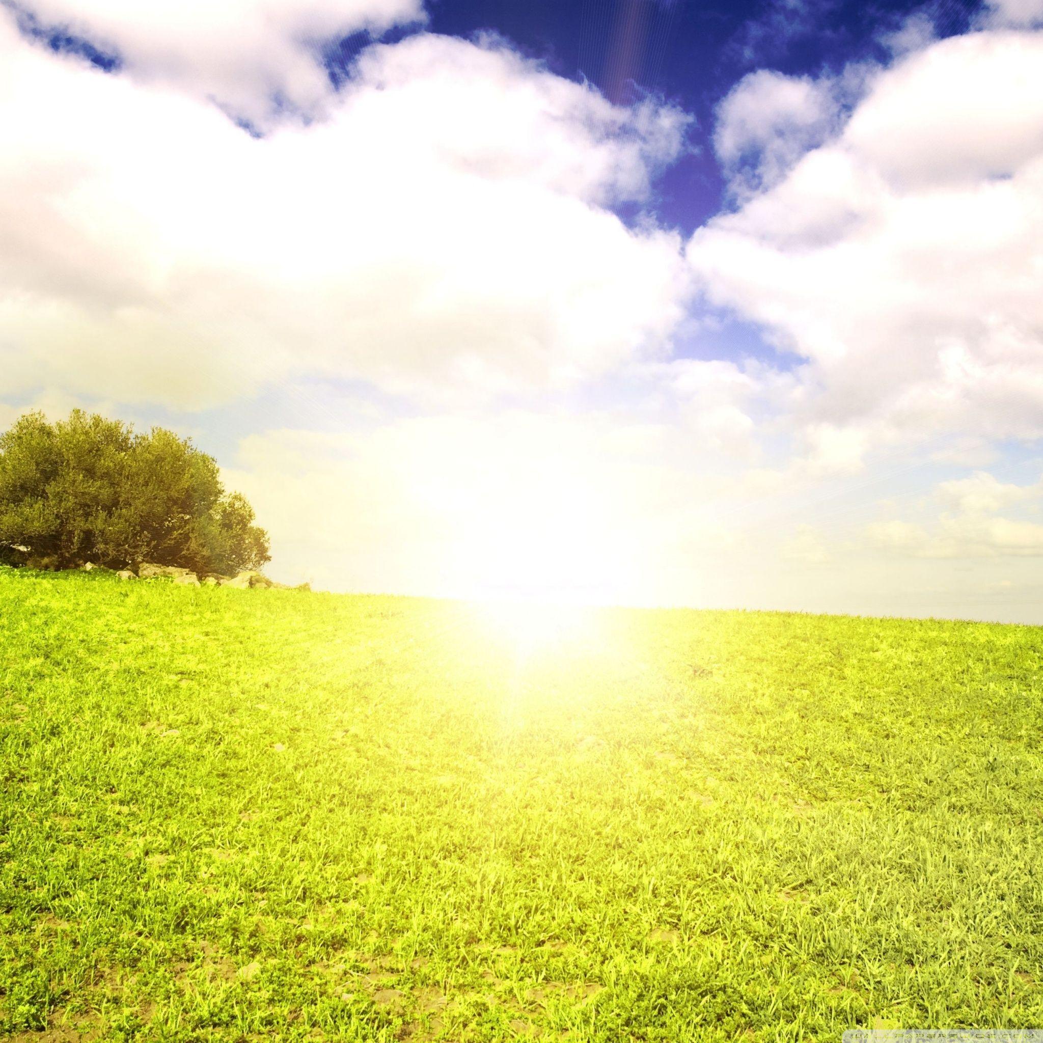 2048x2048 Bright Sunlight Ultra HD Desktop .