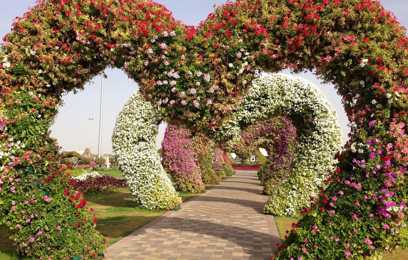 1332x850 Wallpaper design, garden, track .