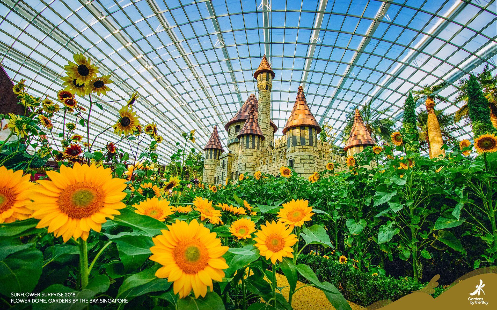 1920x1200 Gardens by the Bay Wallpaperm.gardensbythebay.com.sg