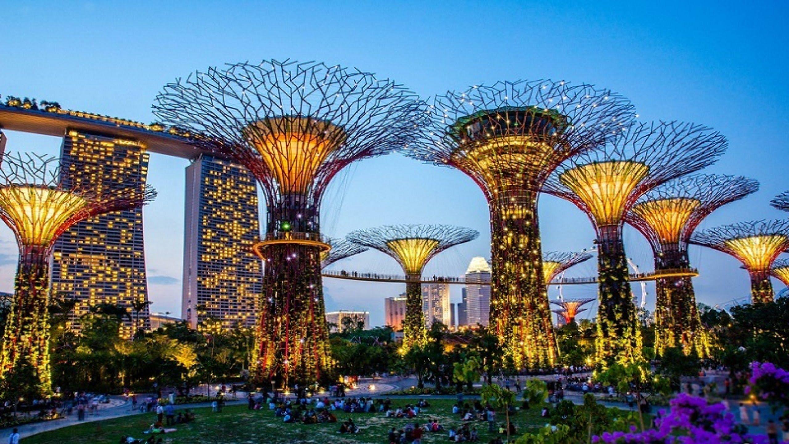 2560x1440 Cheap Flights Hotels Luxury Holidays .diplomat