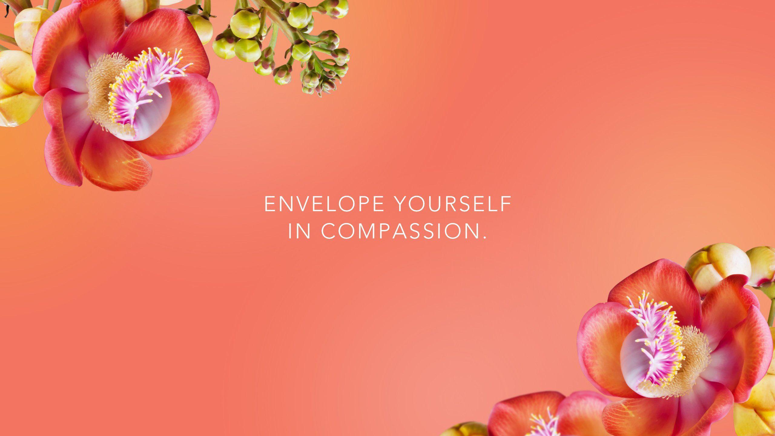 2560x1441 CANNONBALL FLOWER GOODIES